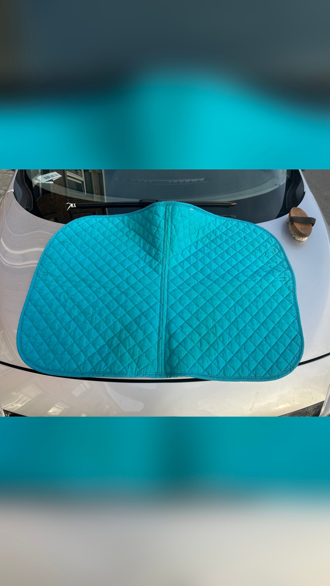 Tapis de selle, média 4