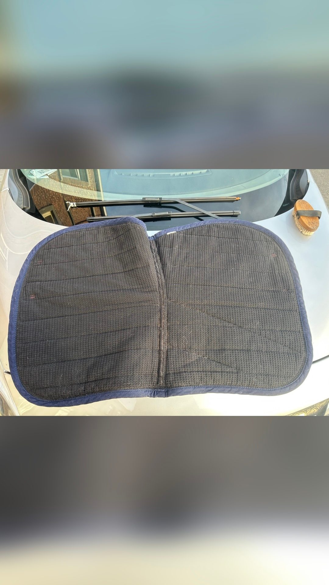 Tapis de selle, média 4