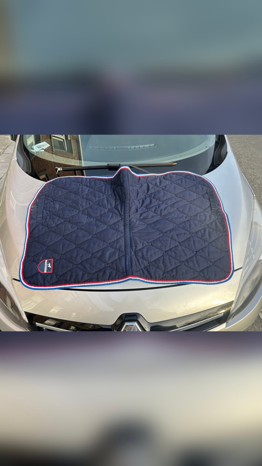 Tapis de selle, média 2