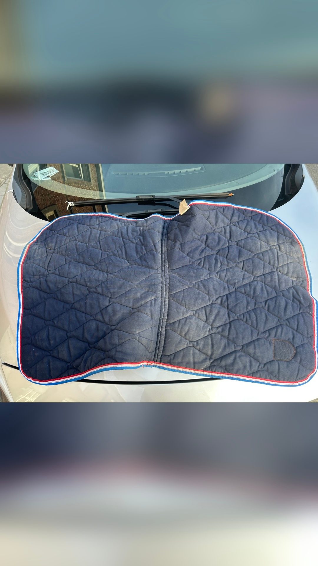 Tapis de selle, média 3