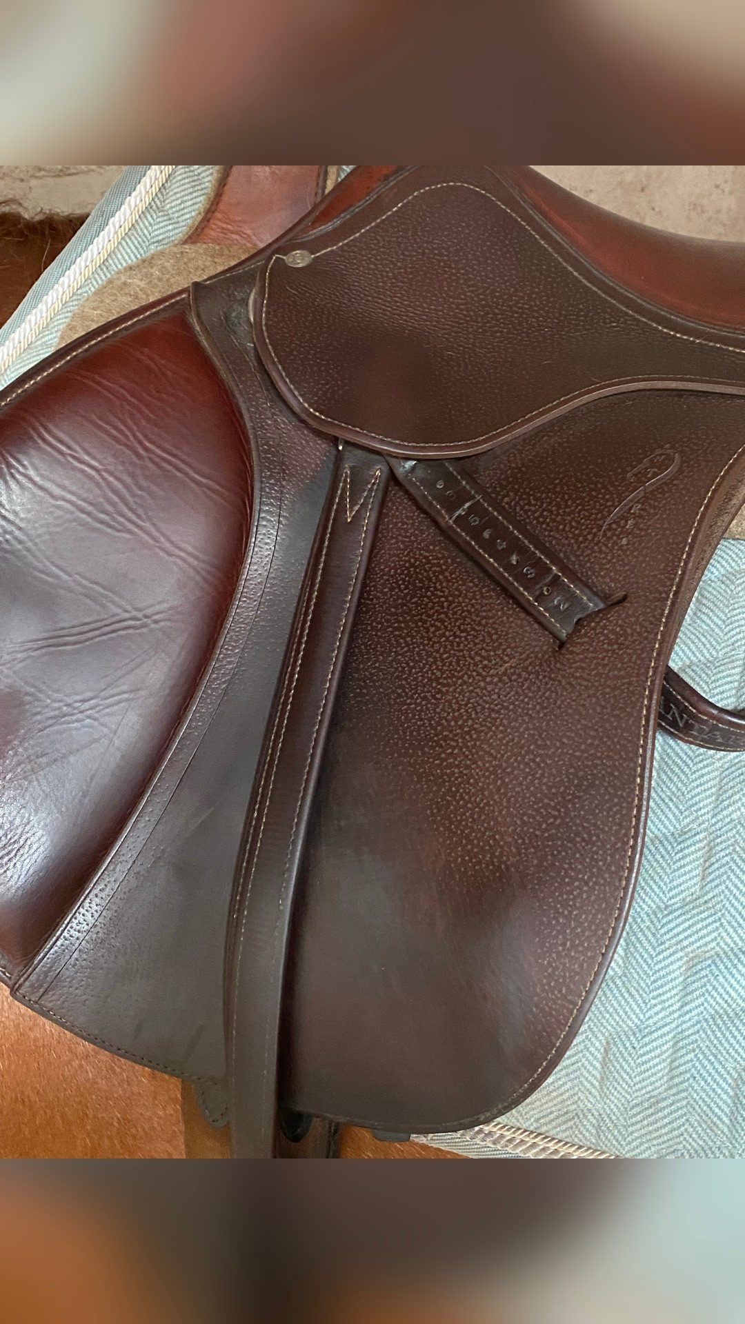 Selle à Antarès, média 2