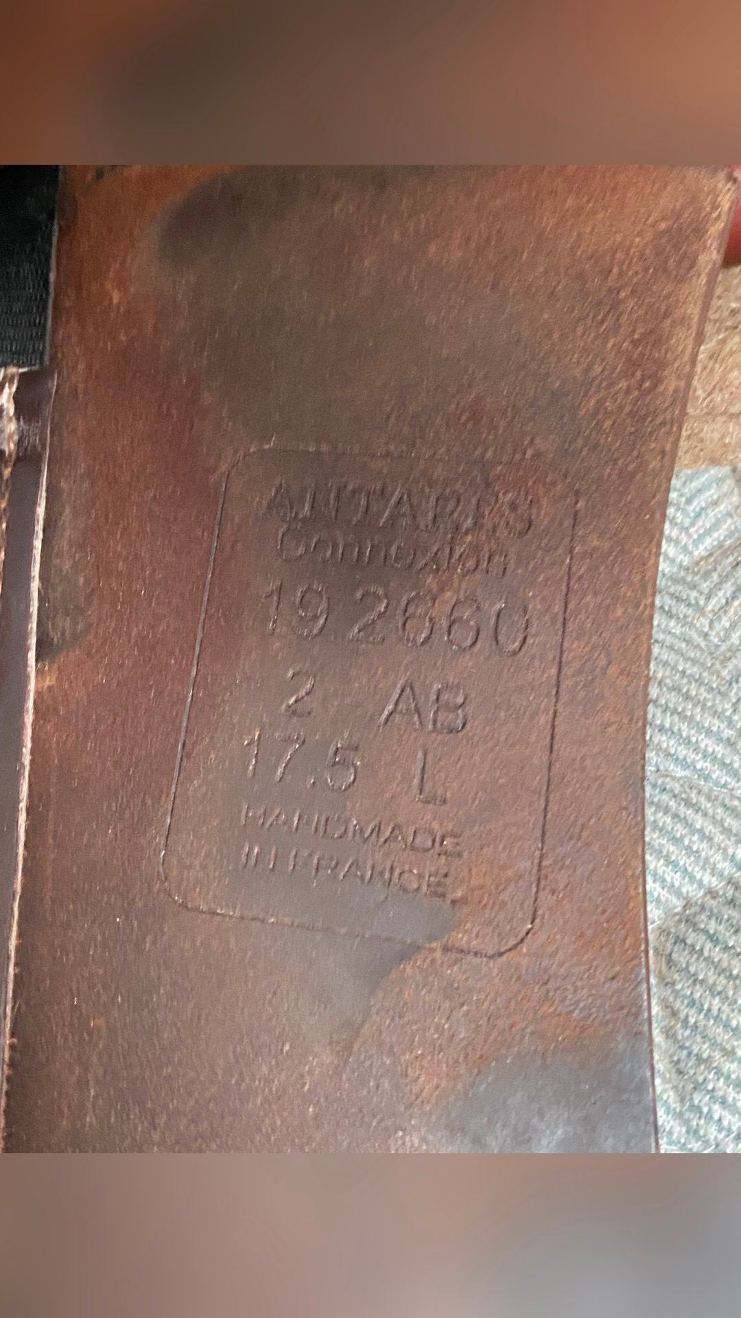 Selle à Antarès, média 3