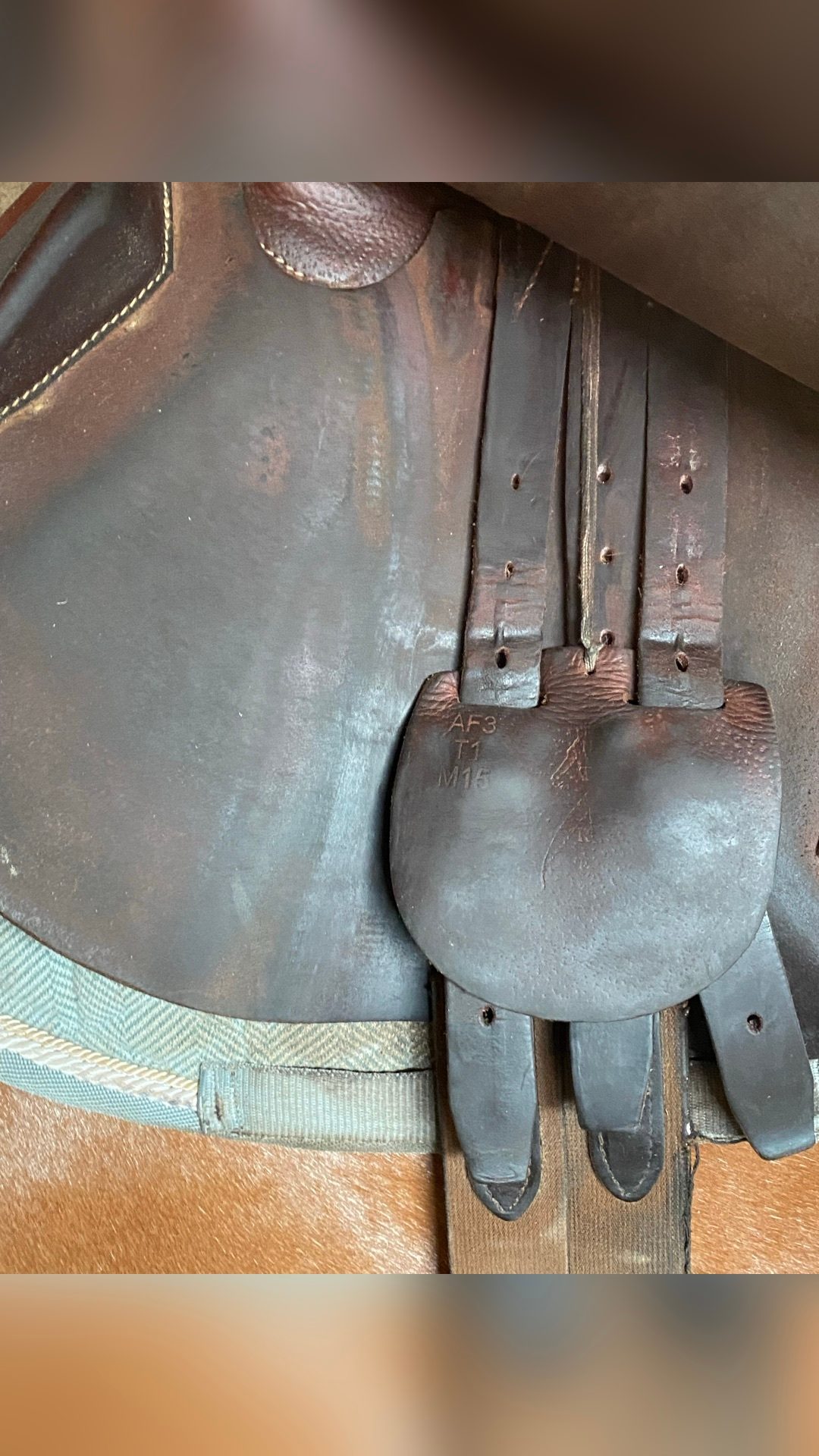Selle à Antarès, média 4