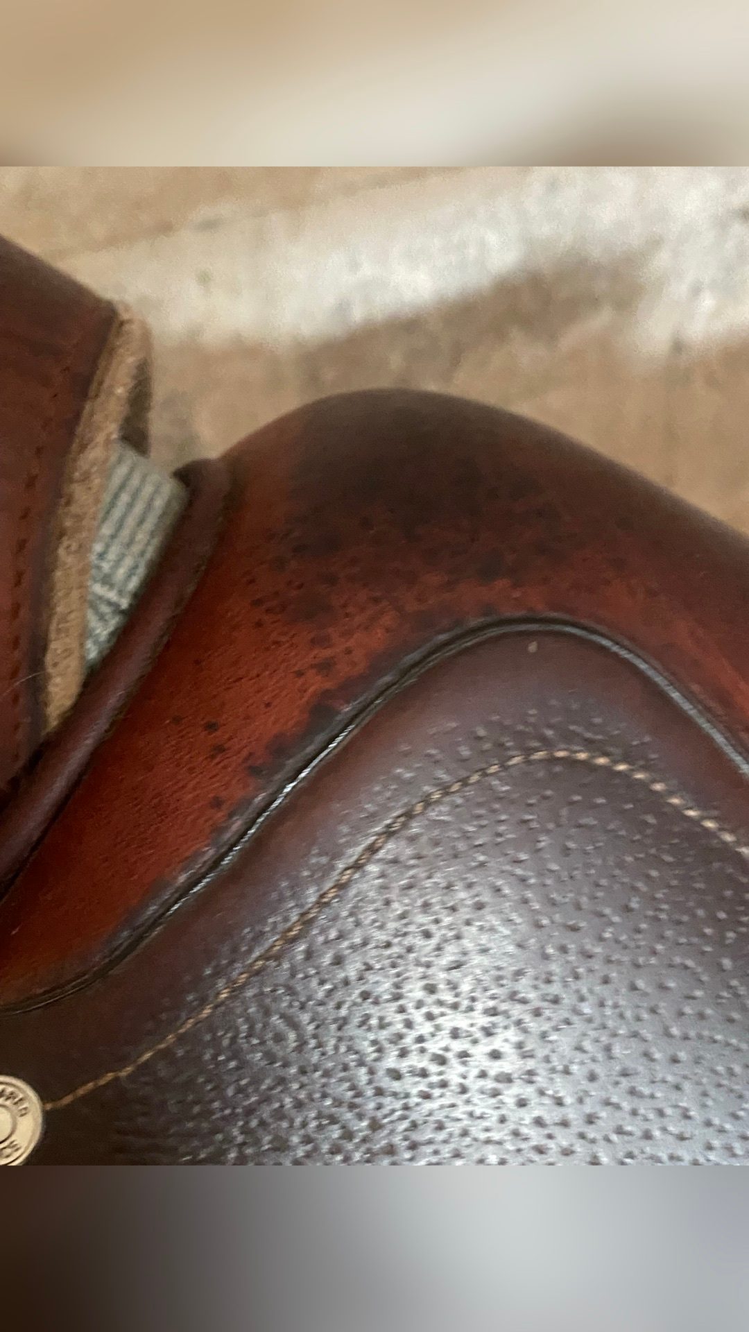 Selle à Antarès, média 5