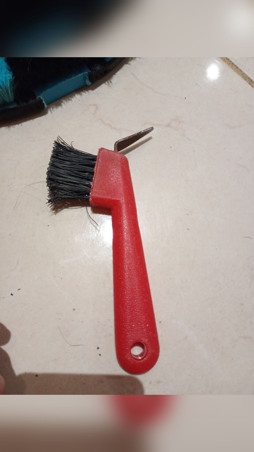 Lot brosses pansage, média 2
