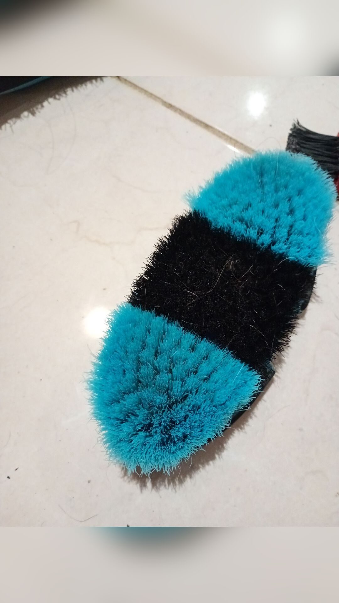 Lot brosses pansage, média 4