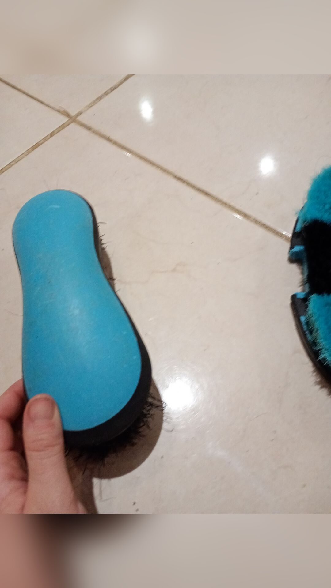 Lot brosses pansage, média 6