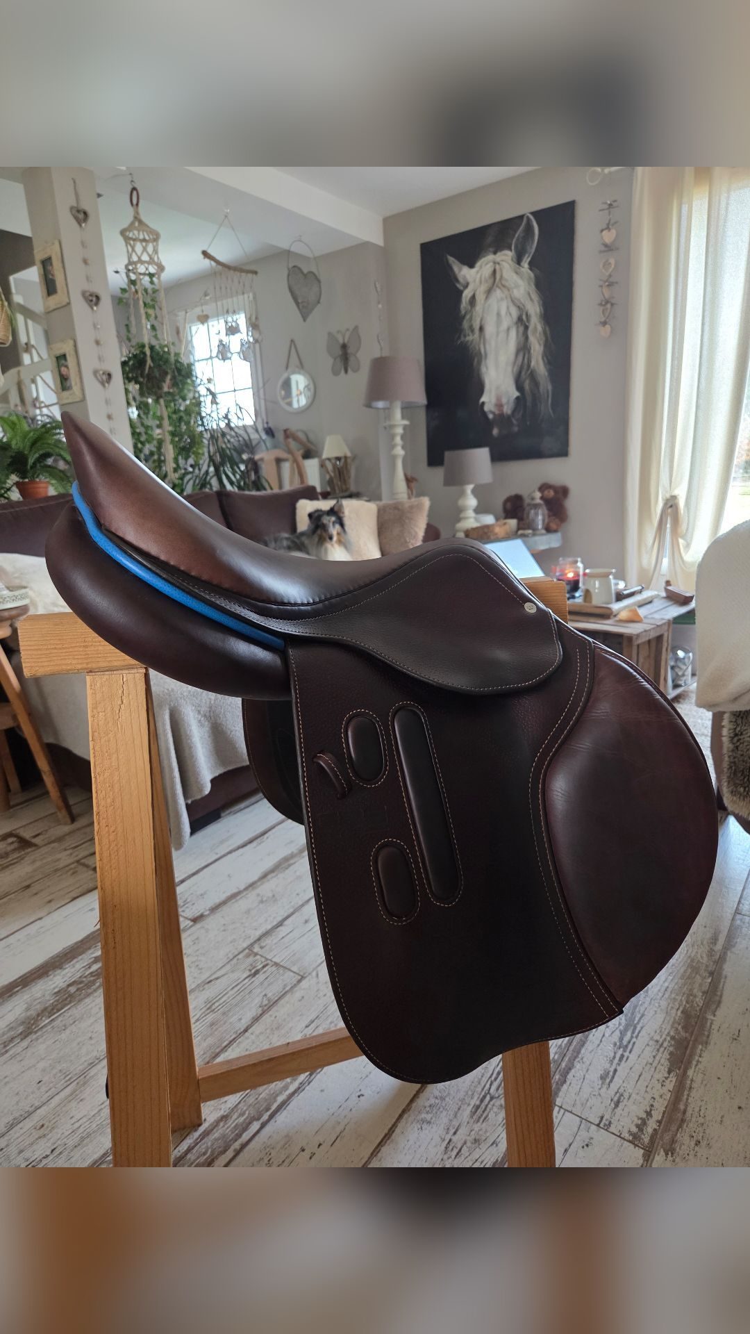 Selle mixte, média 3