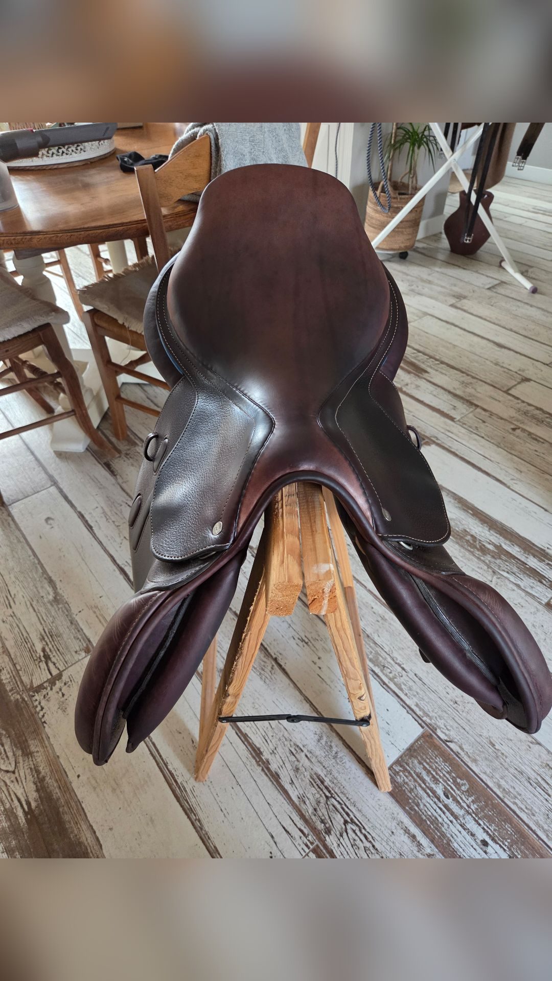 Selle mixte, média 4