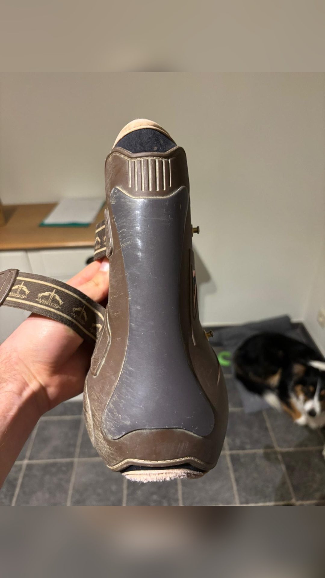 Guêtre Veredus taille L, média 4