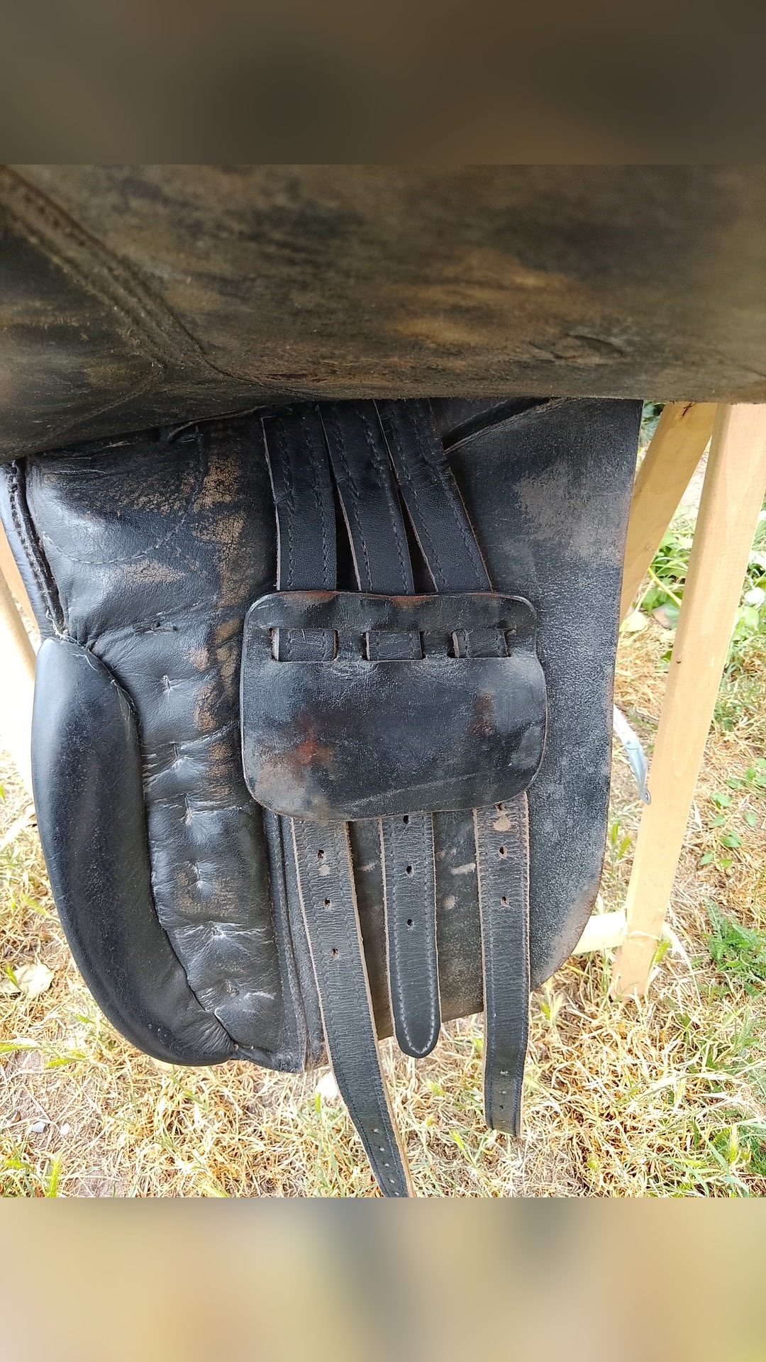 Selle de dressage, média 3