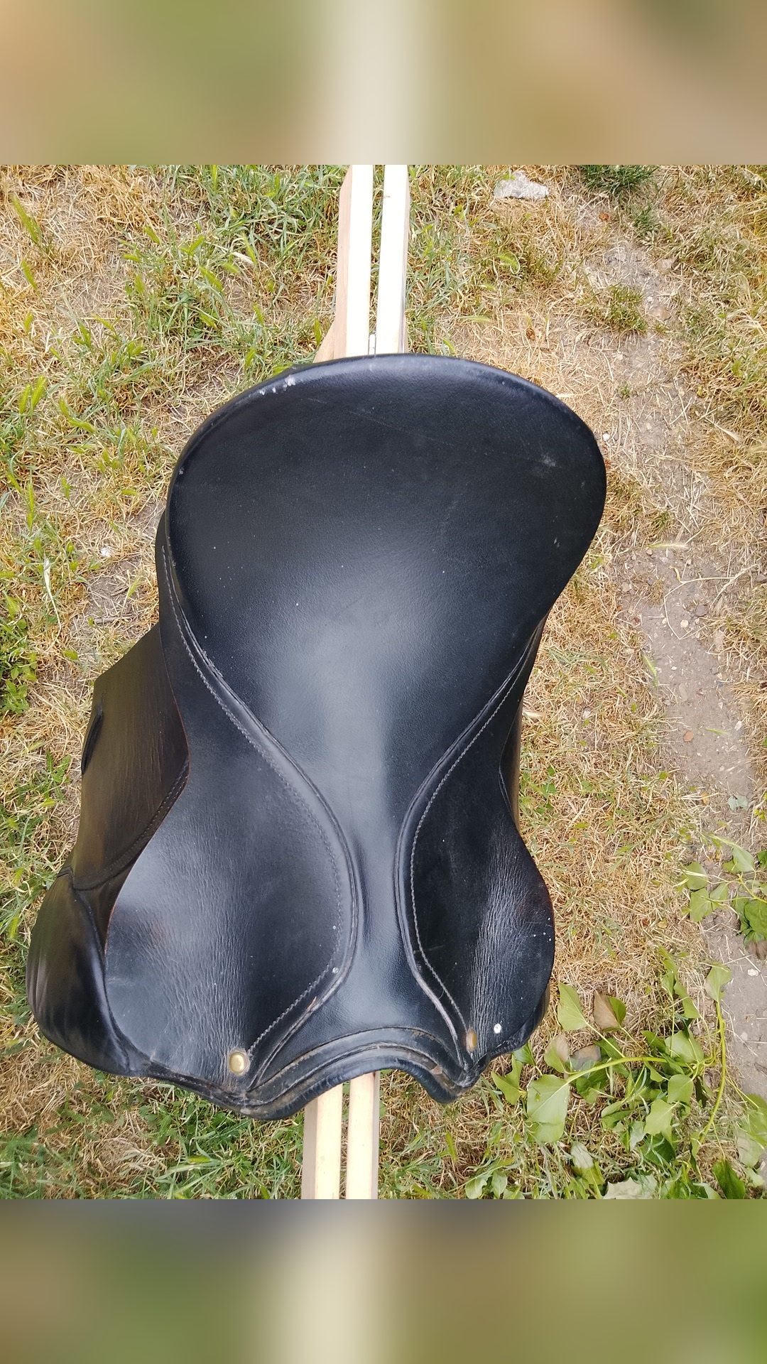 Selle de dressage, média 5