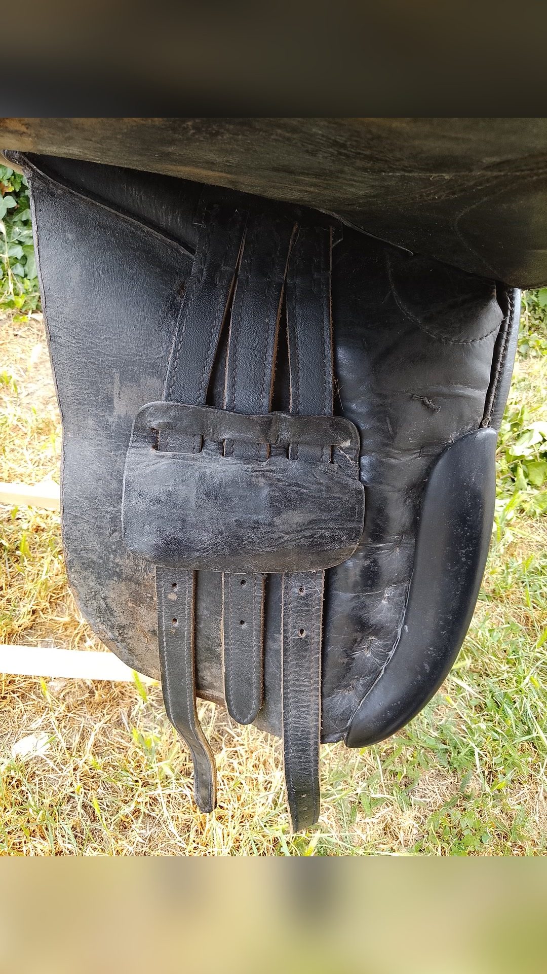 Selle de dressage, média 4
