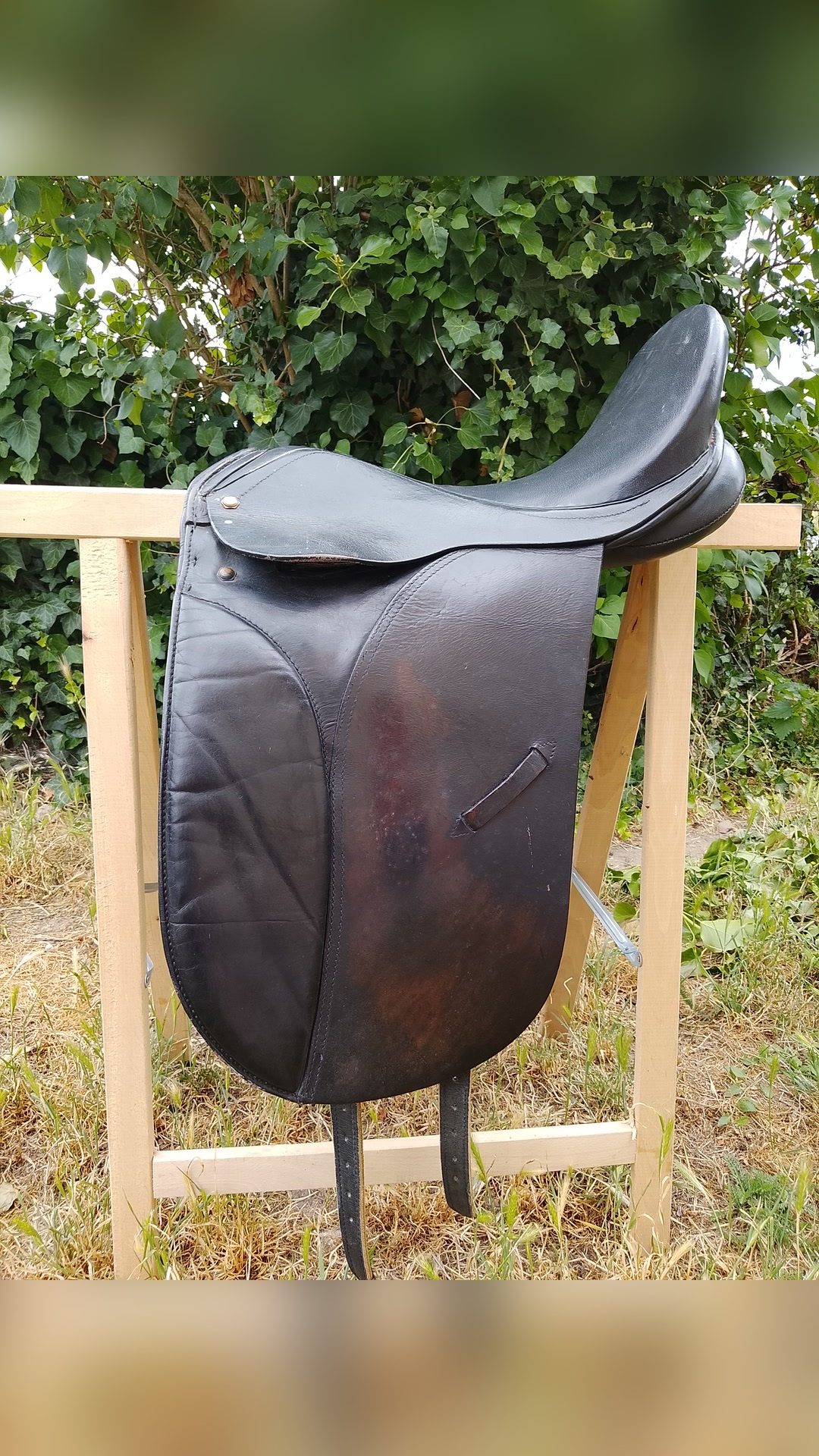 Selle de dressage, média 2