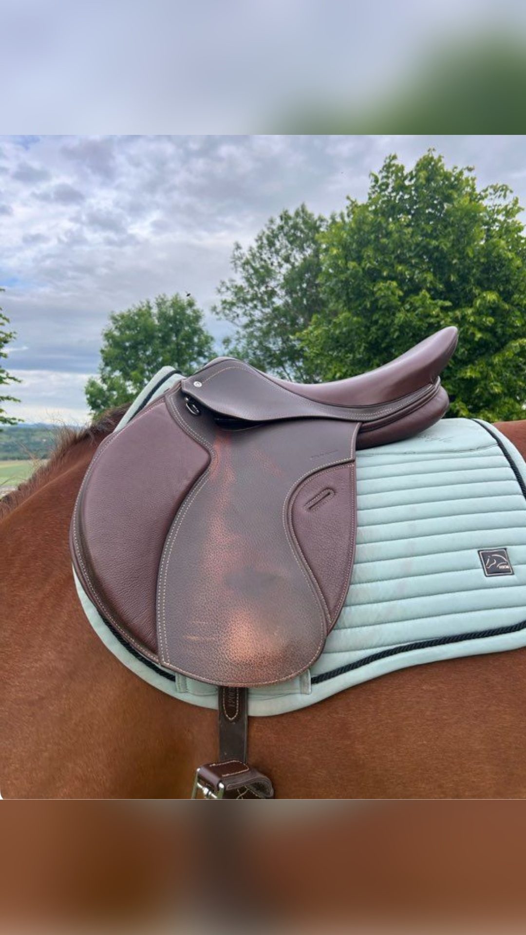 Selle Fouganza, média 2