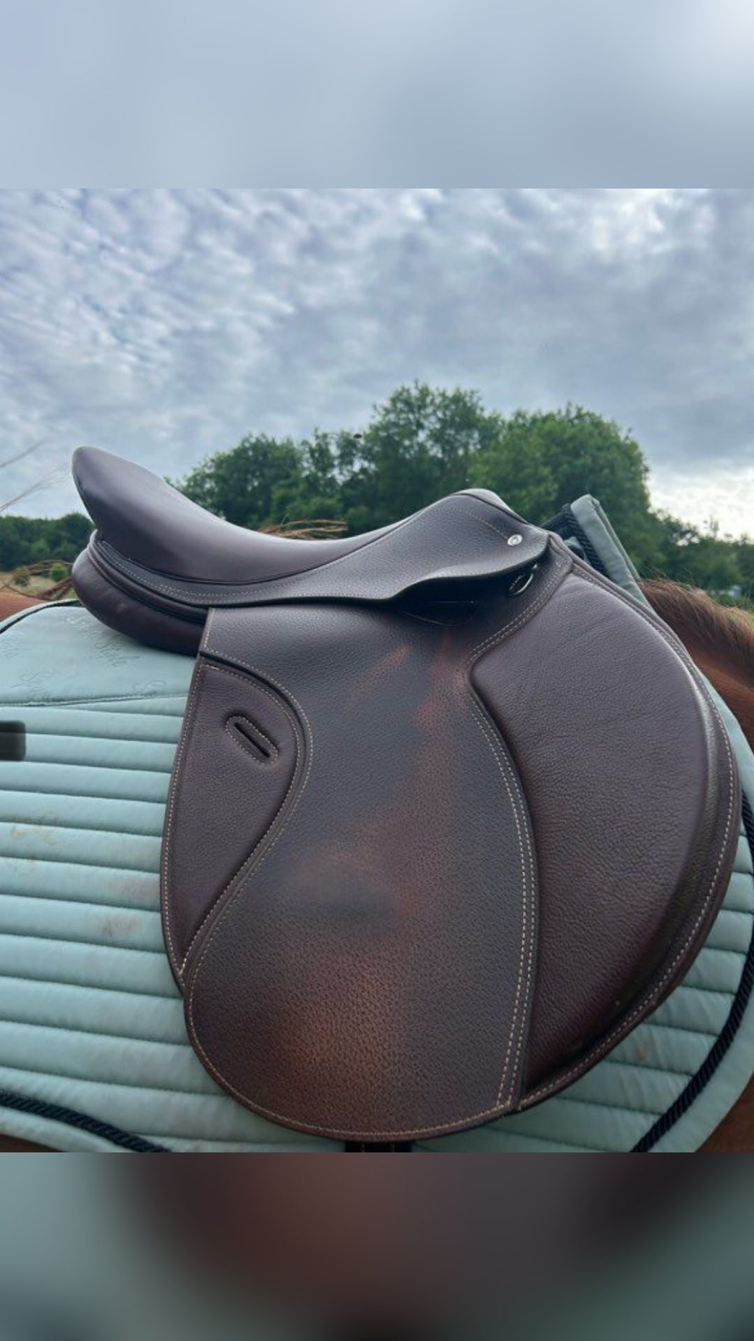 Selle Fouganza, média 3