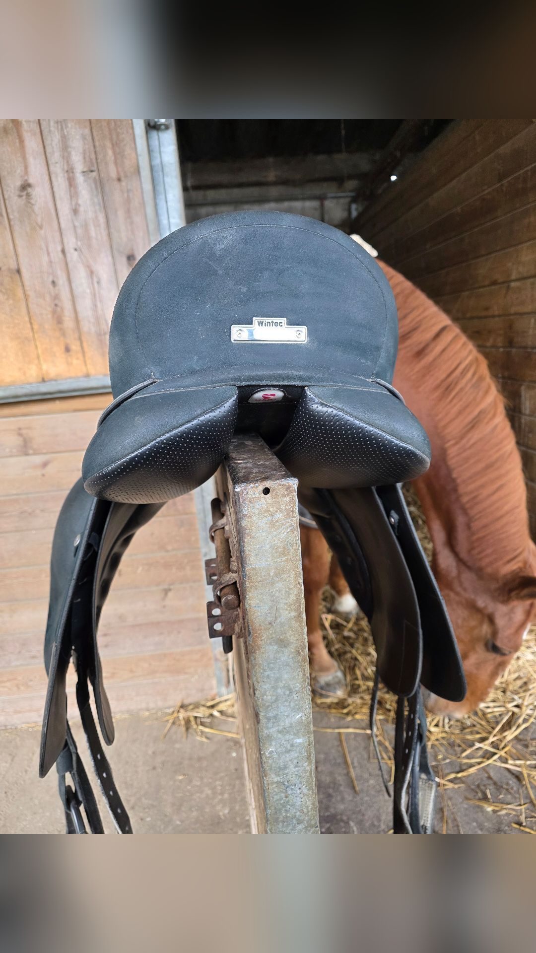 Selle de dressage, média 2