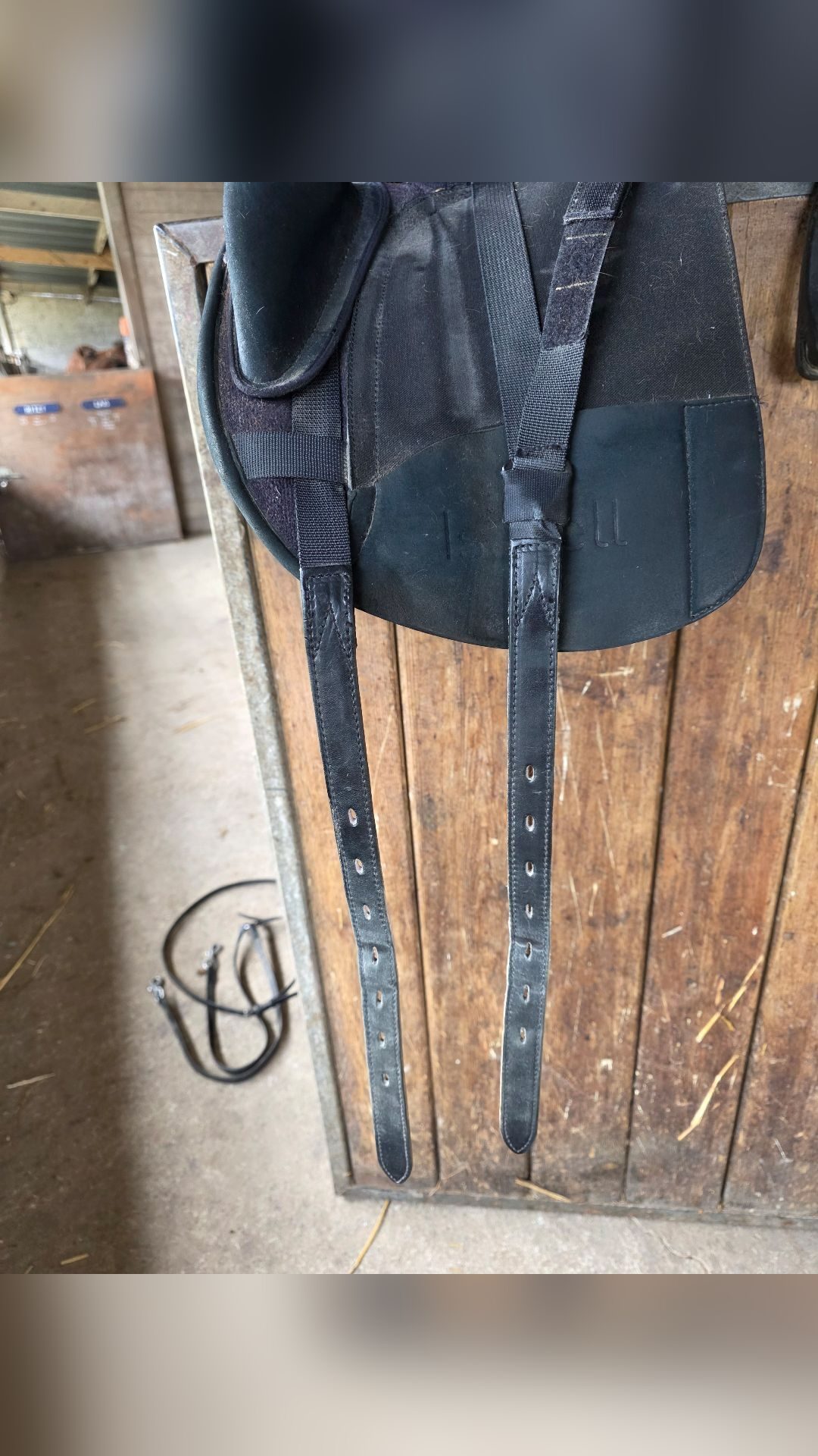 Selle de dressage, média 3