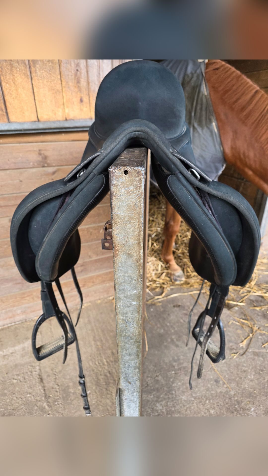 Selle de dressage, média 5