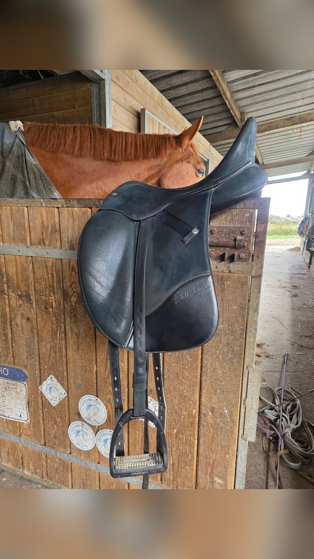 Selle de dressage, média 6