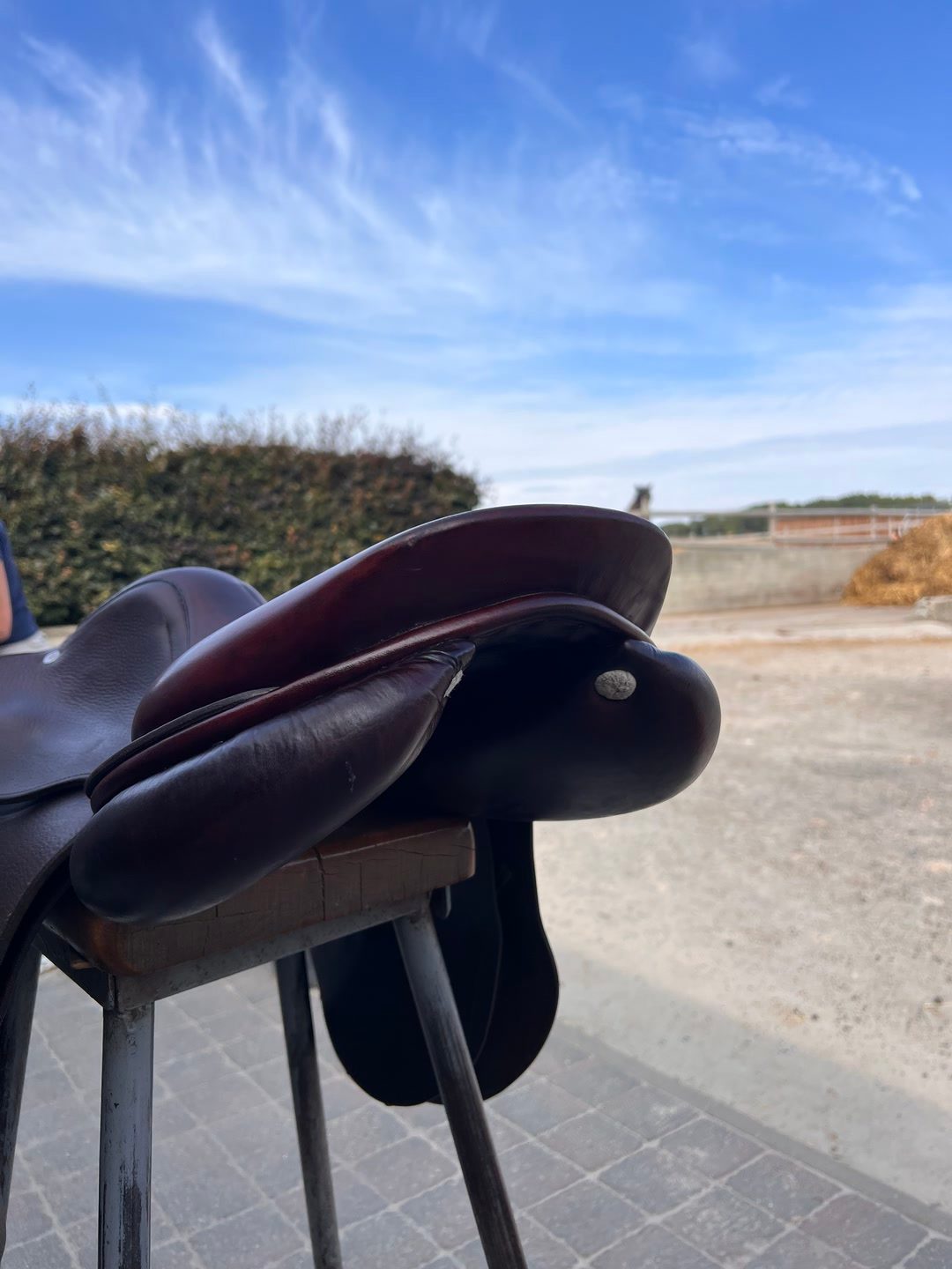 Selle gbs, média 9