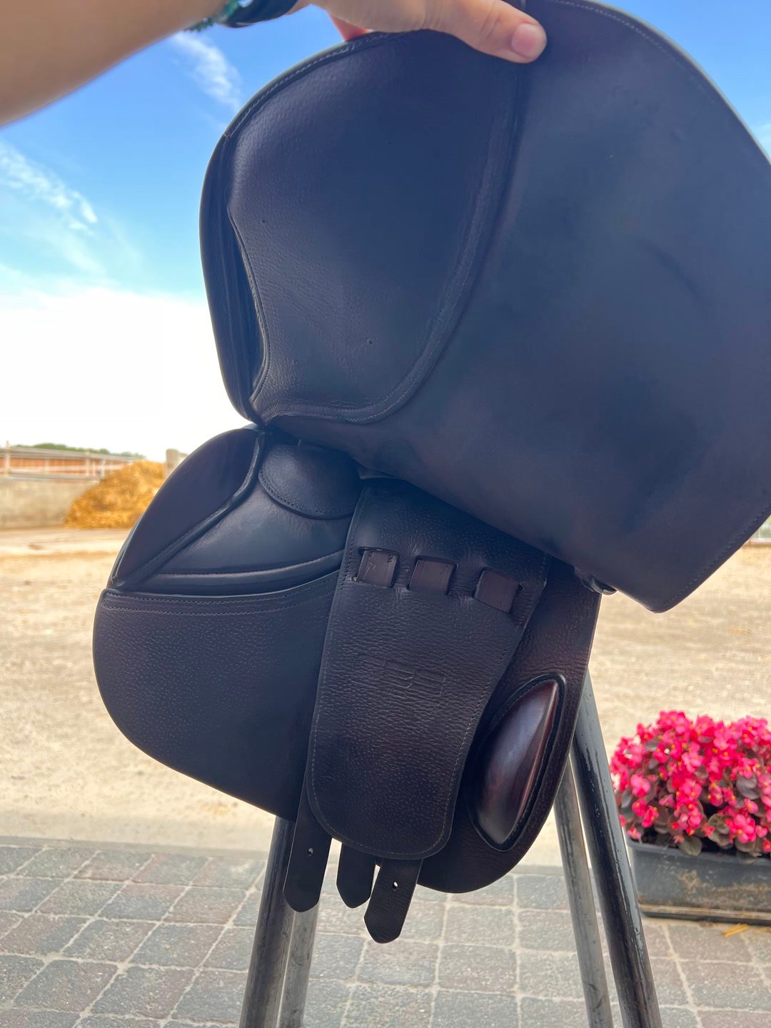 Selle gbs, média 7