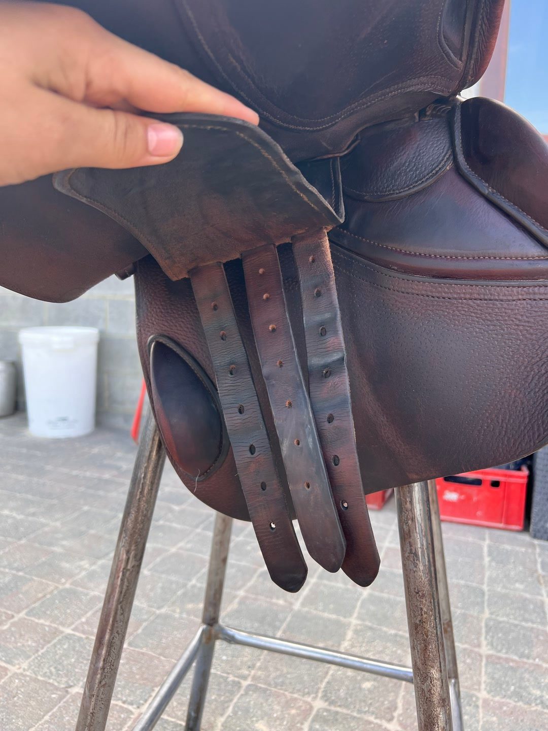 Selle gbs, média 6
