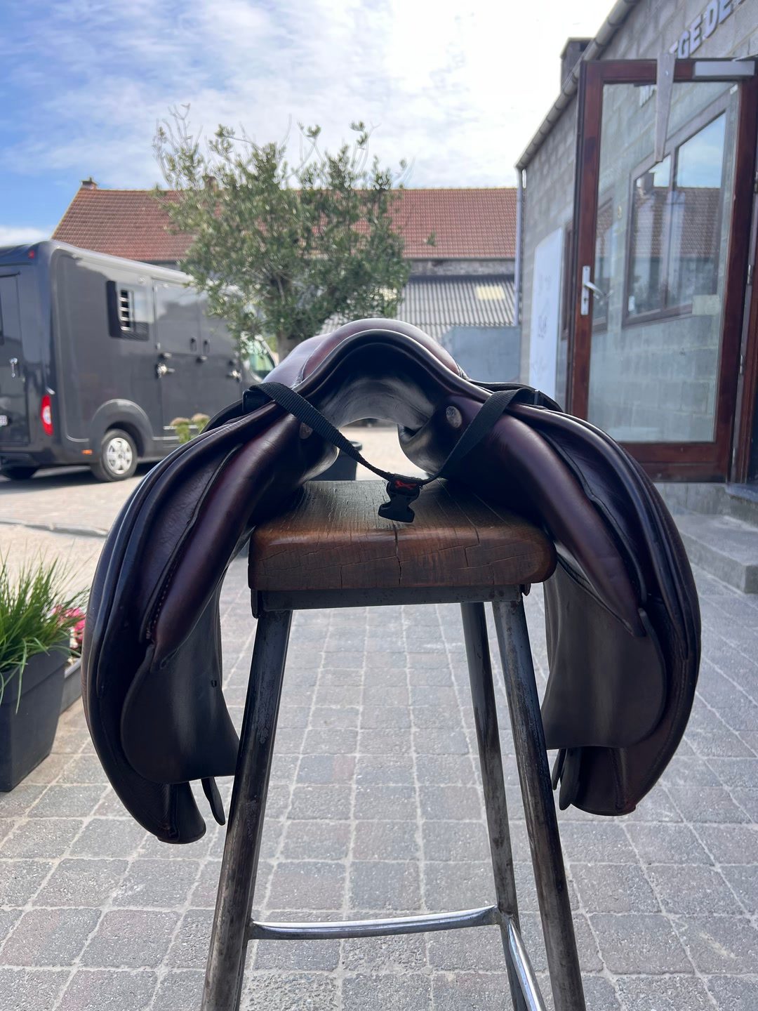 Selle gbs, média 4