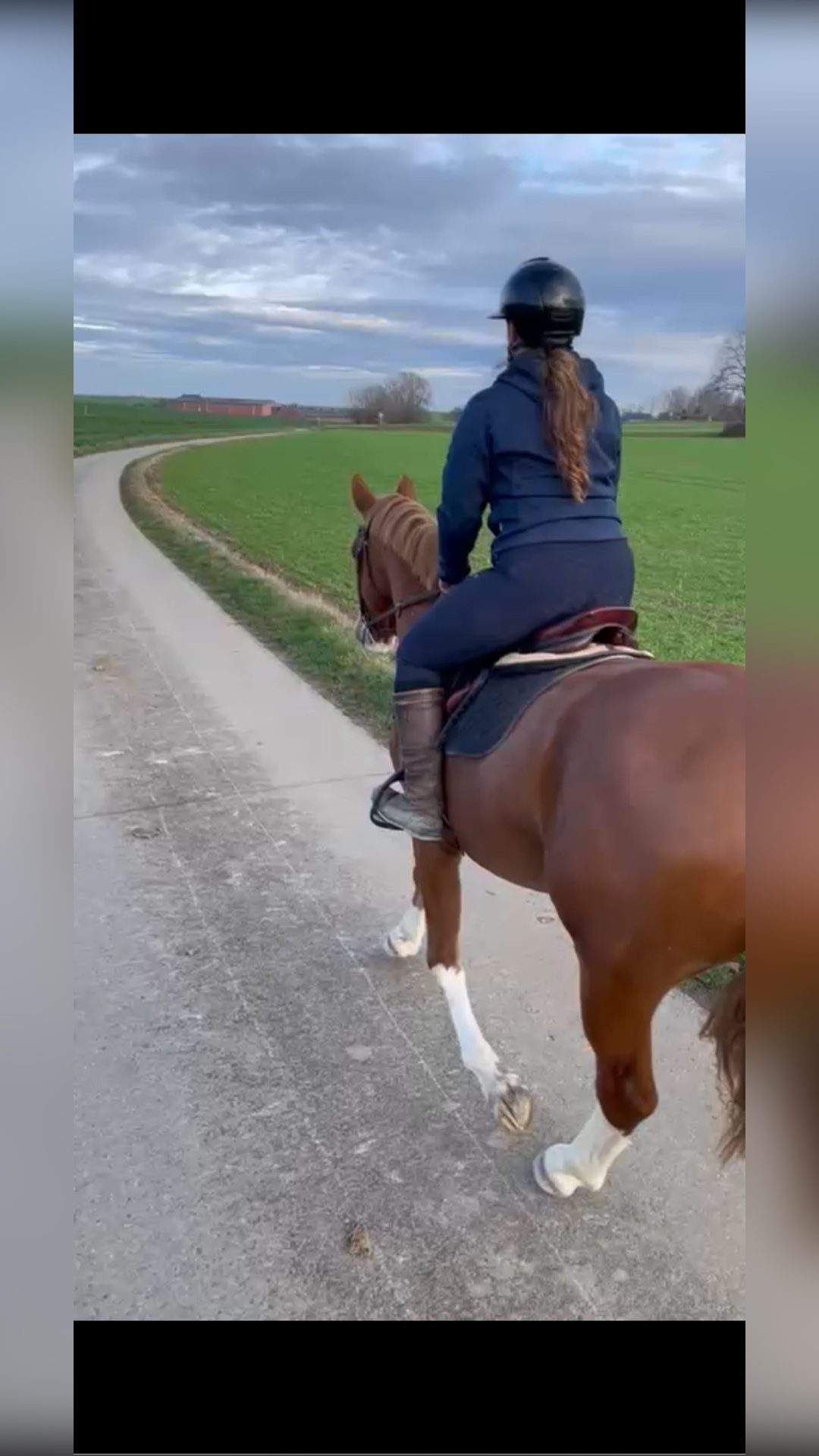 EL MACHO DU DIEU D’ARRAS Z, média 6