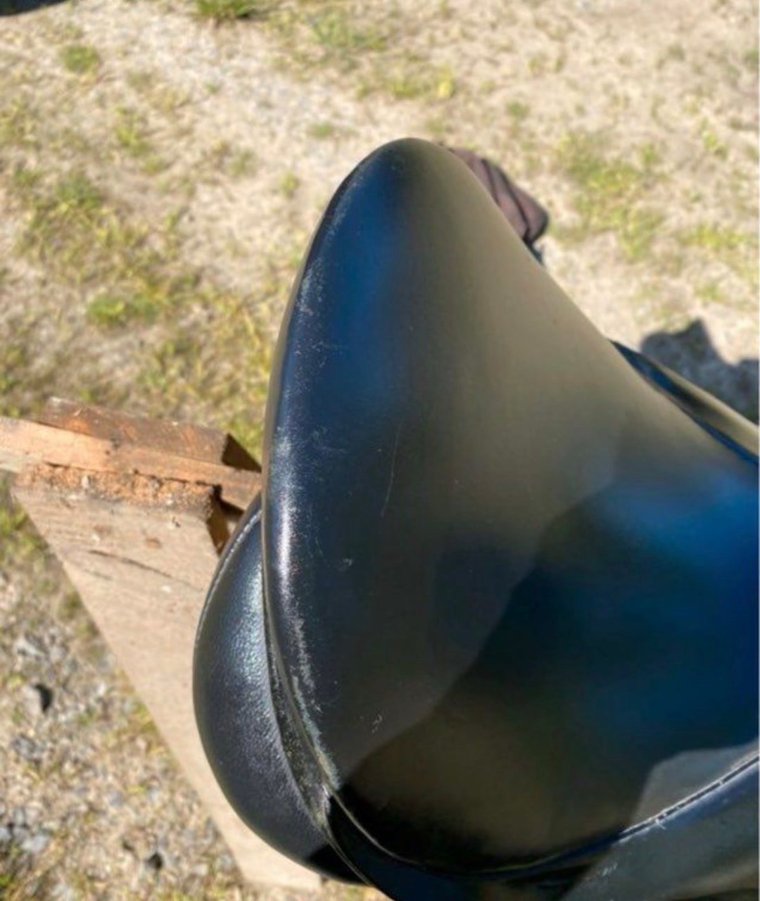 Selle de dressage, média 3
