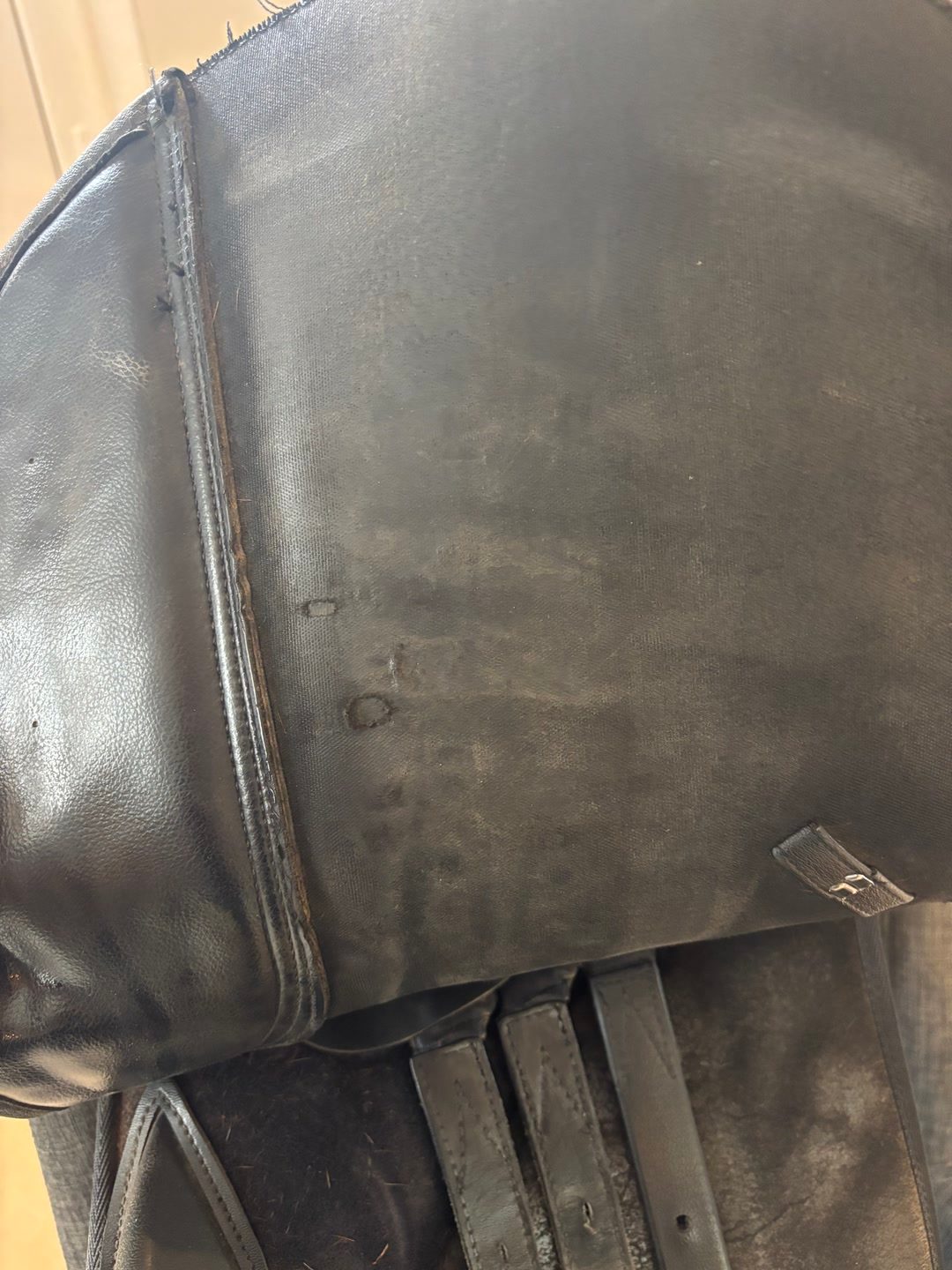Selle wintec 250 16,5, média 8