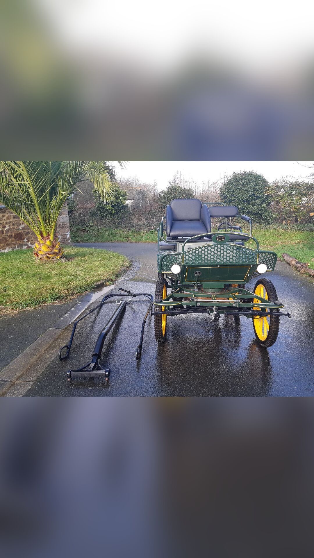 Voiture  marathon pour ânes ou poney 110 / 130, média 2
