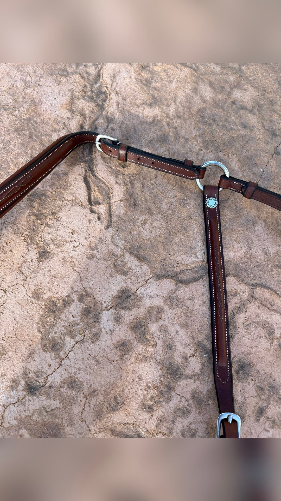 Collier de chasse, média 2