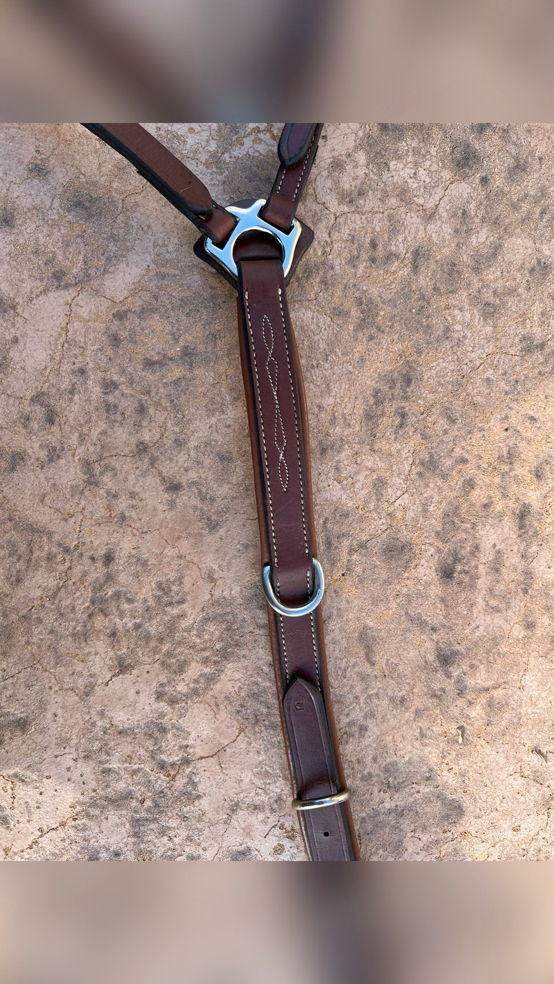 Collier de chasse, média 3