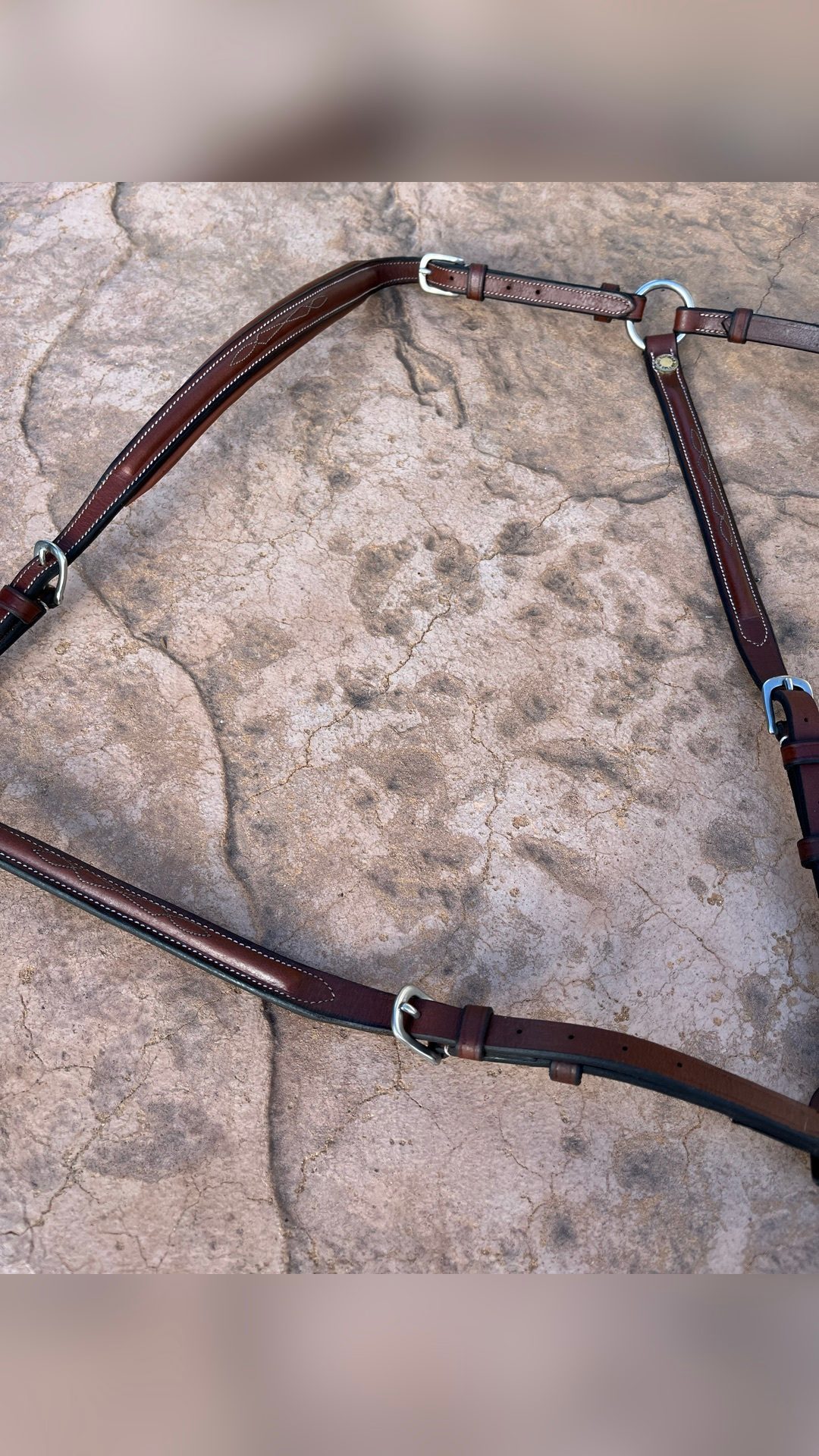 Collier de chasse, média 4
