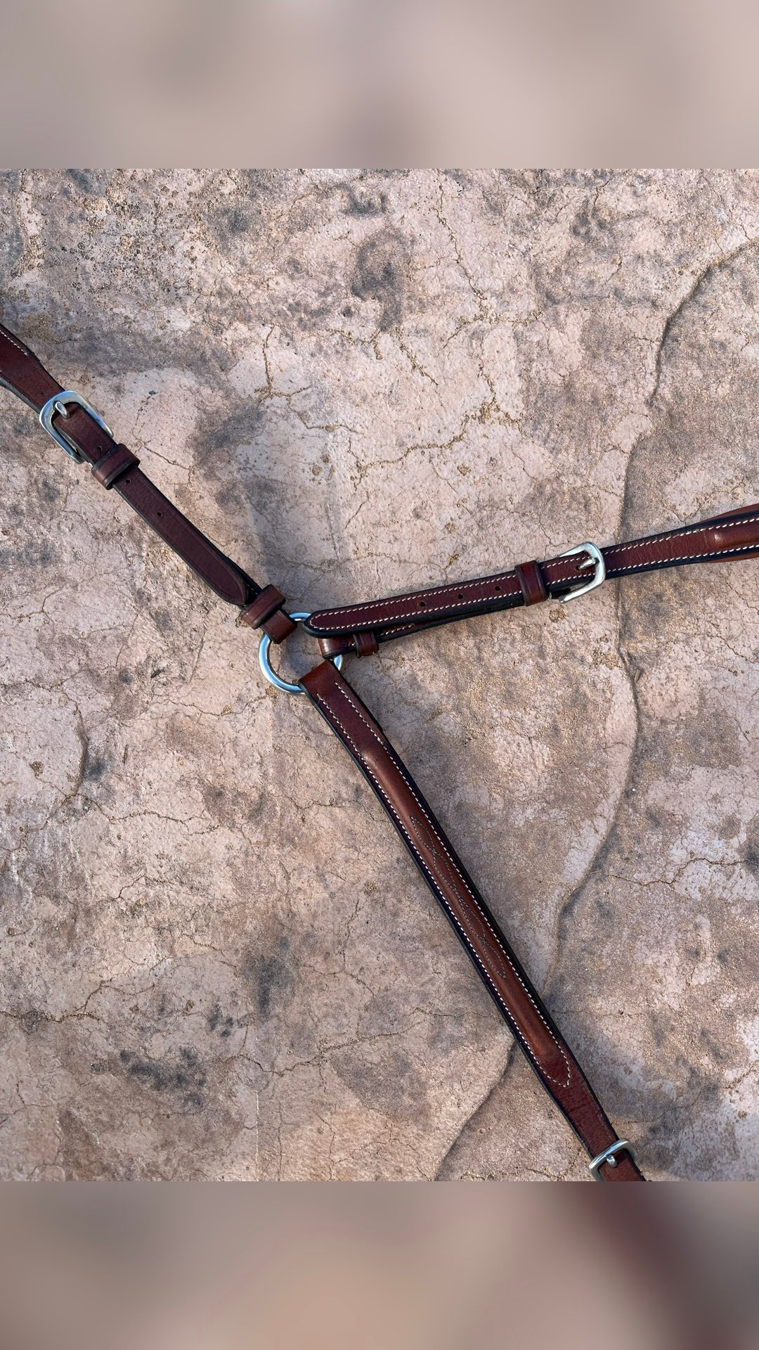Collier de chasse, média 5