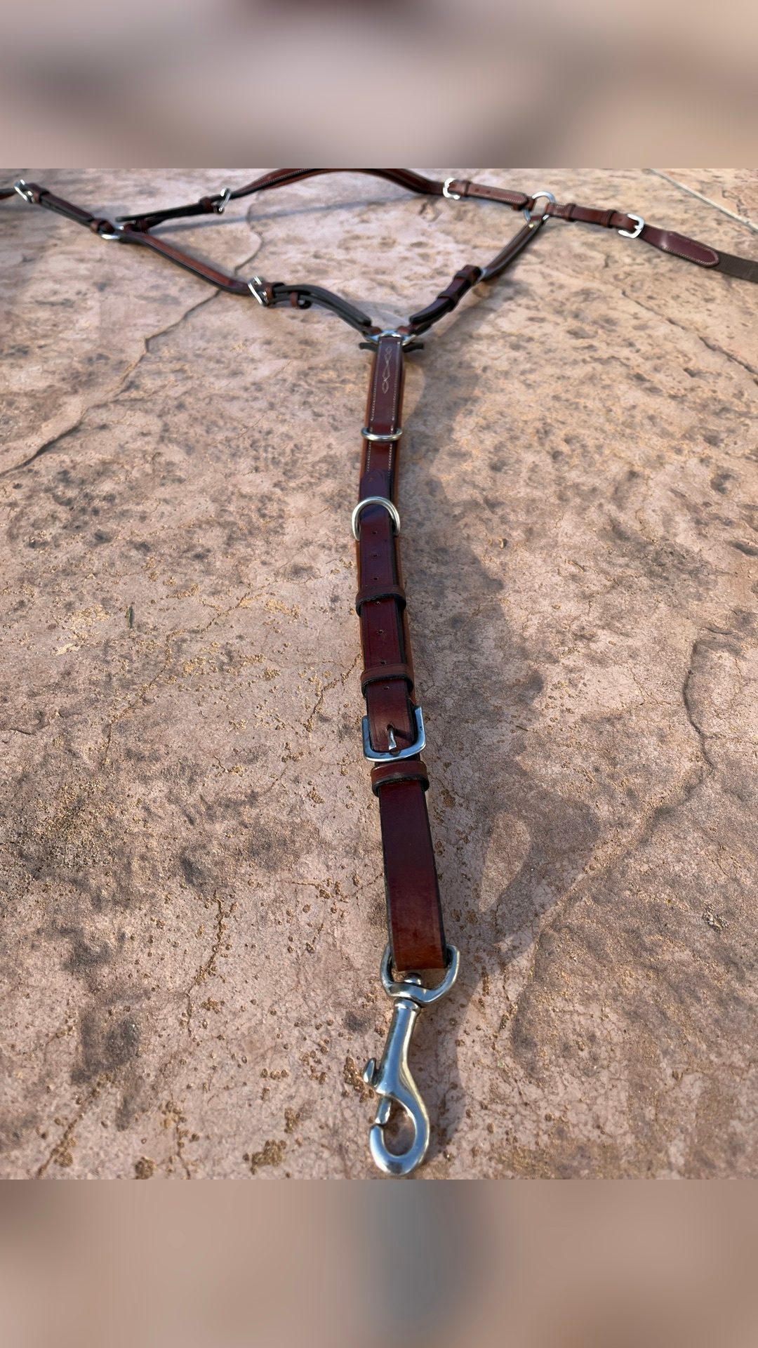 Collier de chasse, média 6