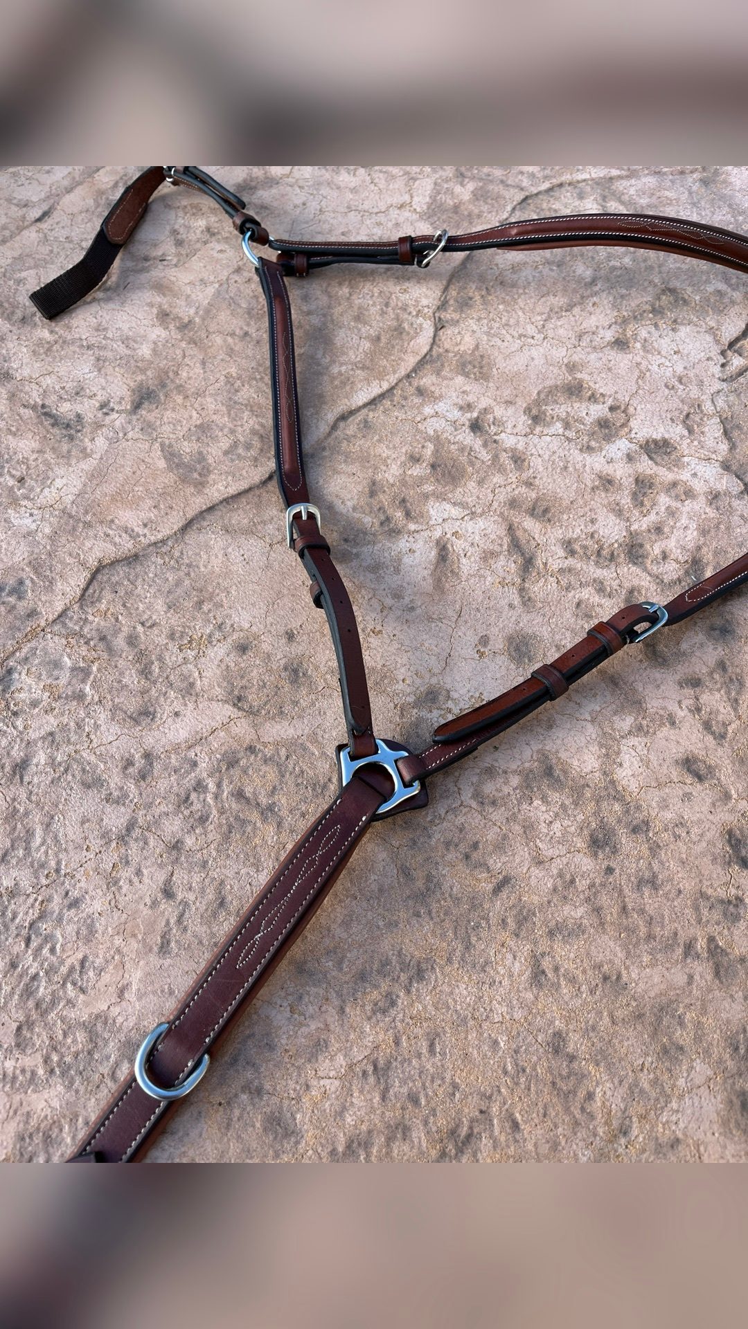Collier de chasse, média 7