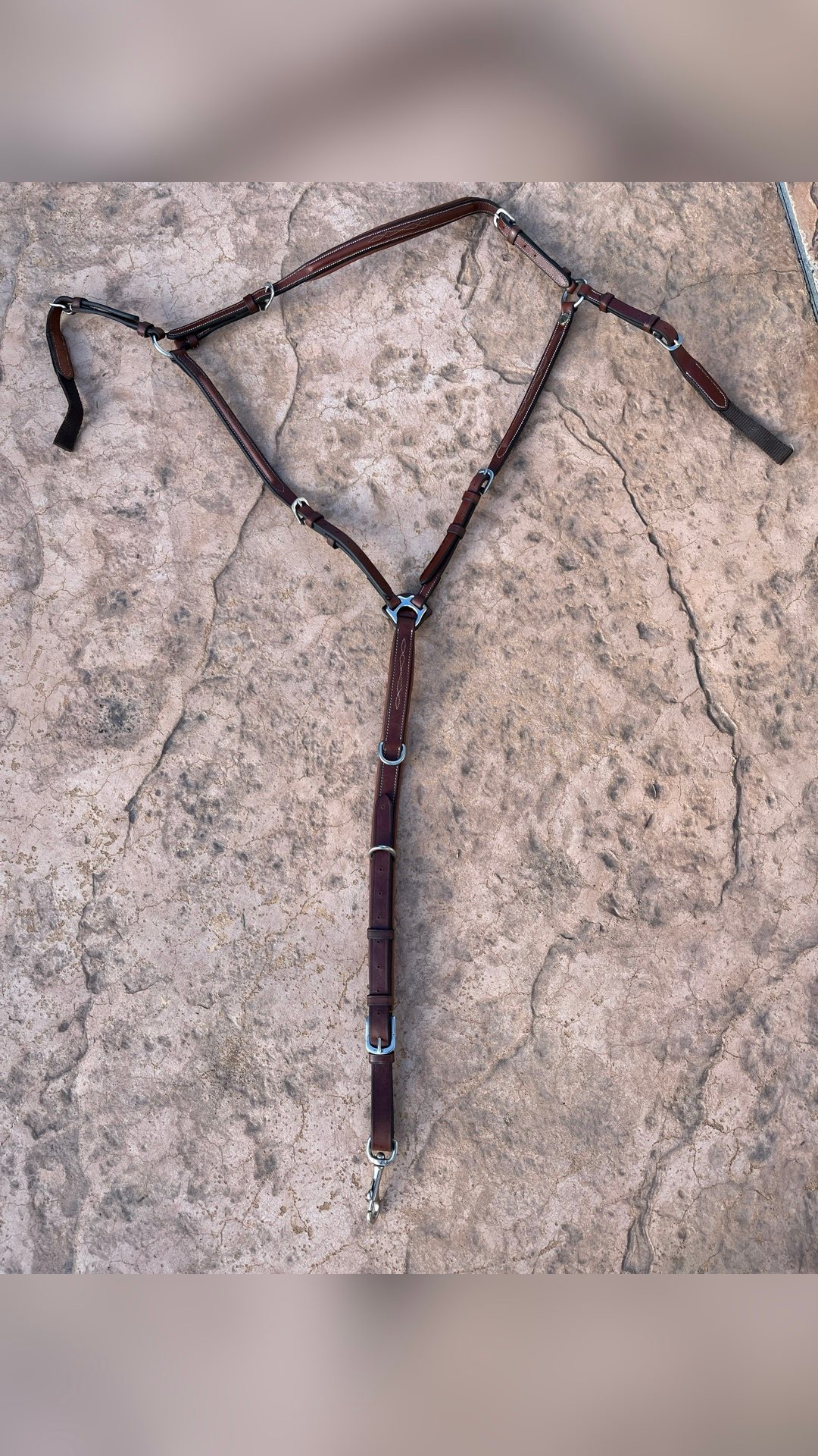 Collier de chasse, média 8