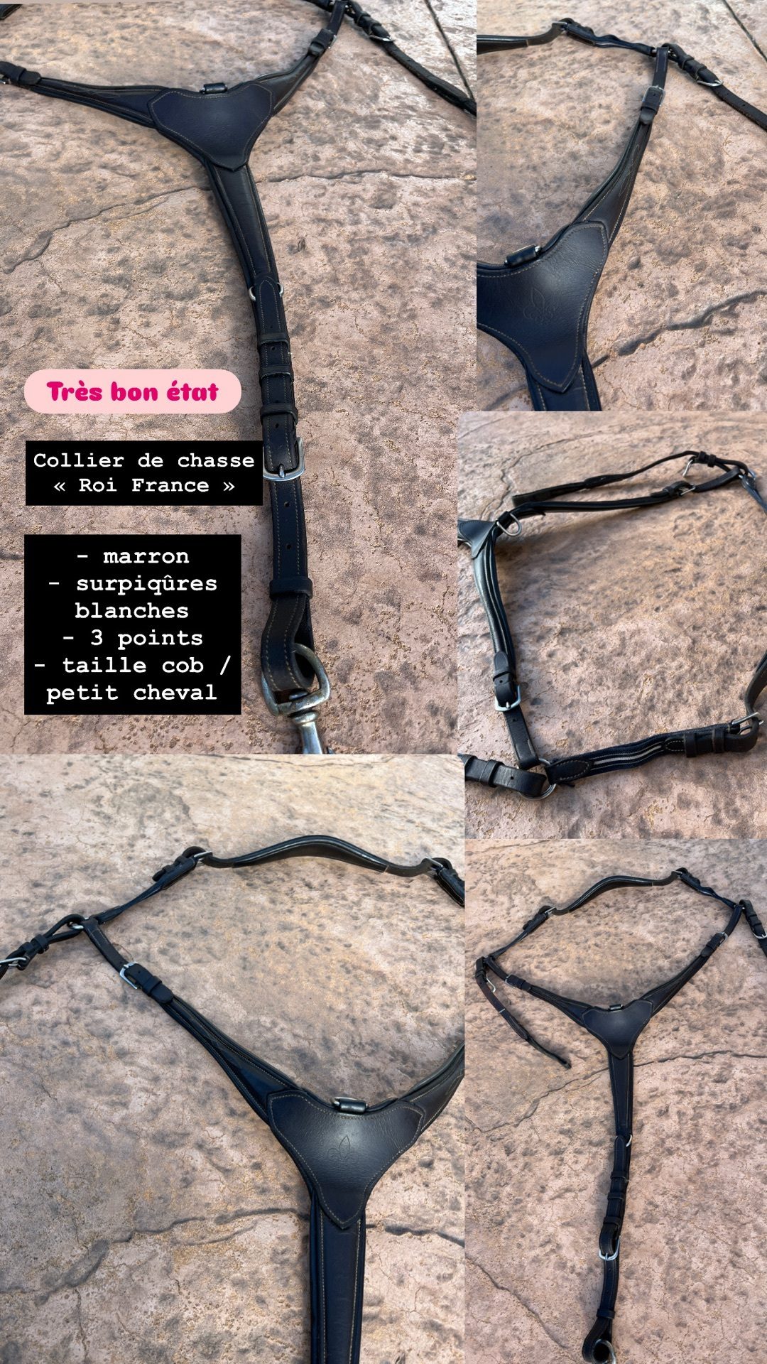 Collier de chasse, média 6