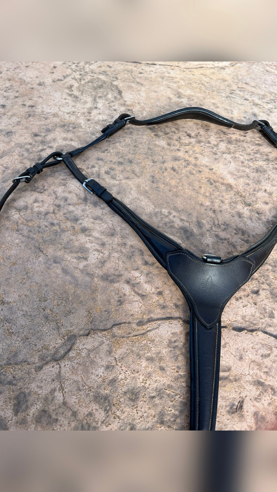 Collier de chasse, média 2