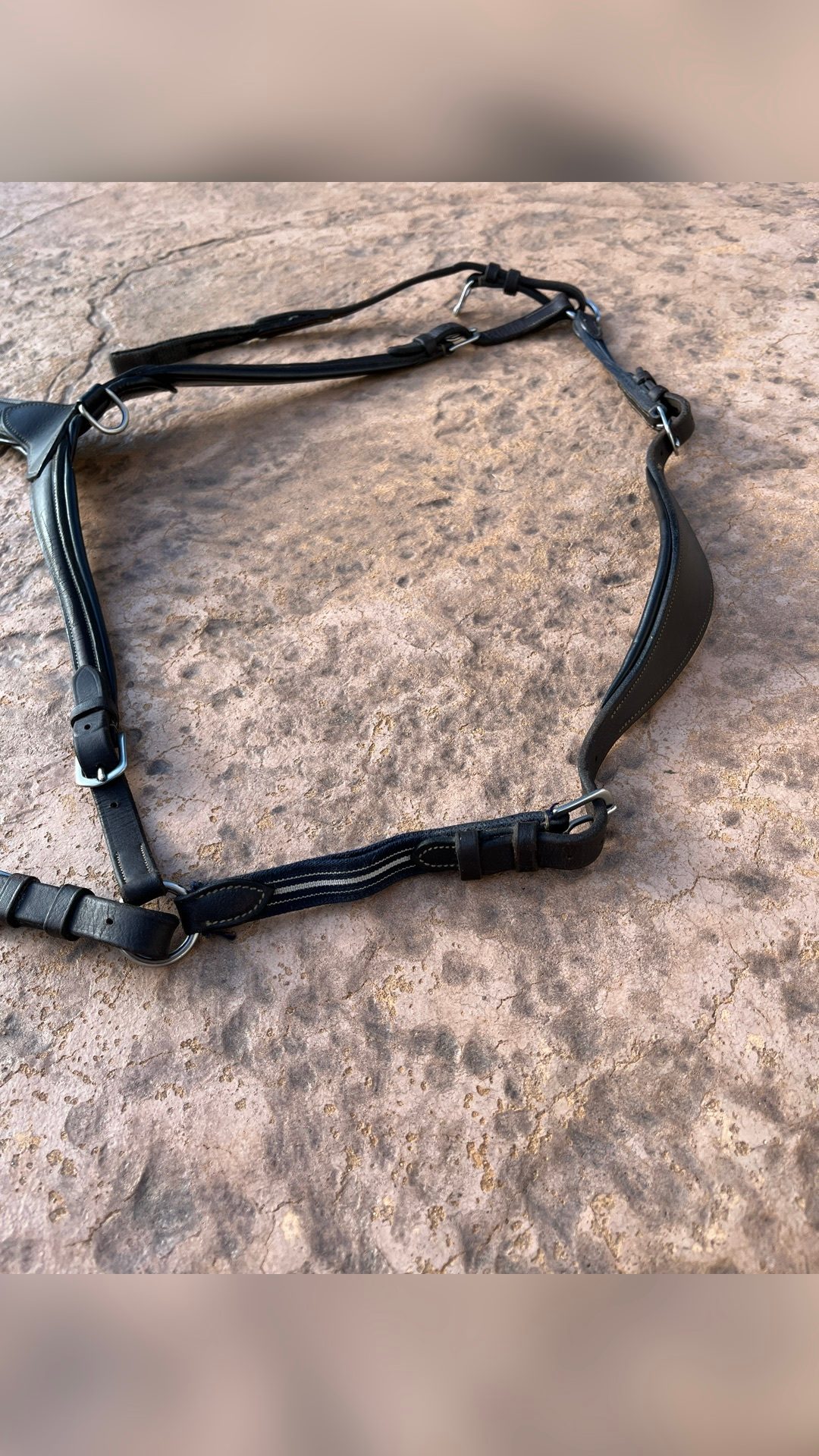 Collier de chasse, média 3