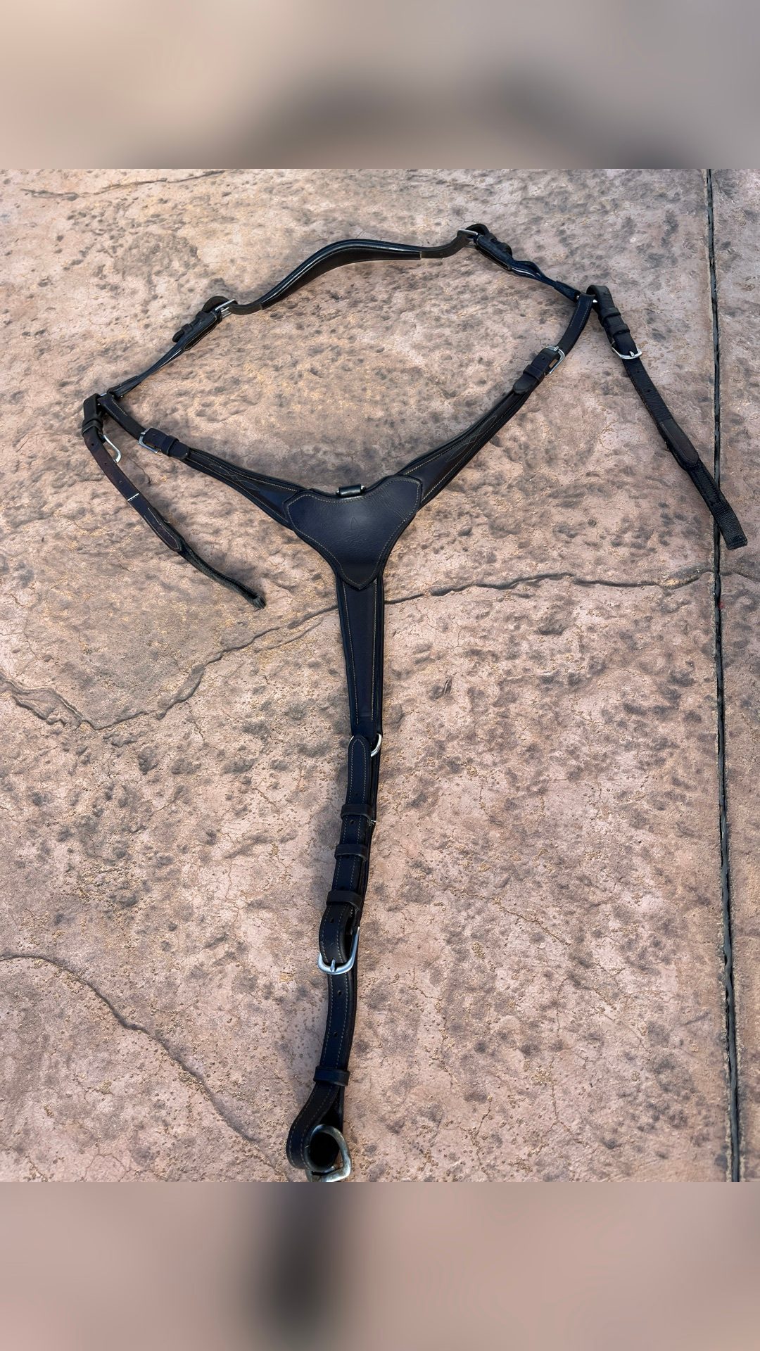 Collier de chasse, média 4