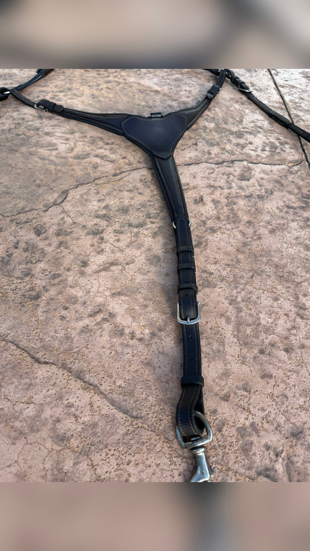 Collier de chasse, média 5