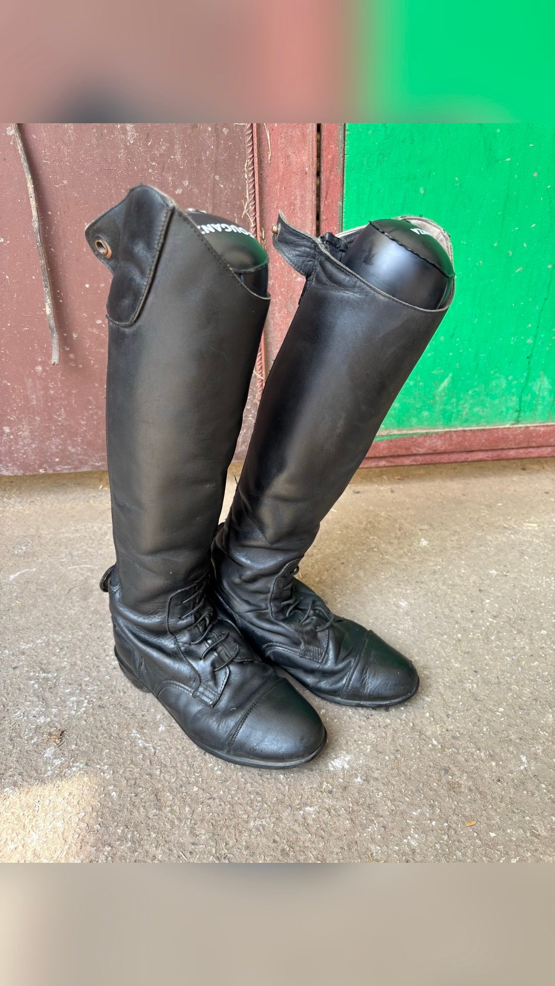 Bottes LB 900 jump, média 2