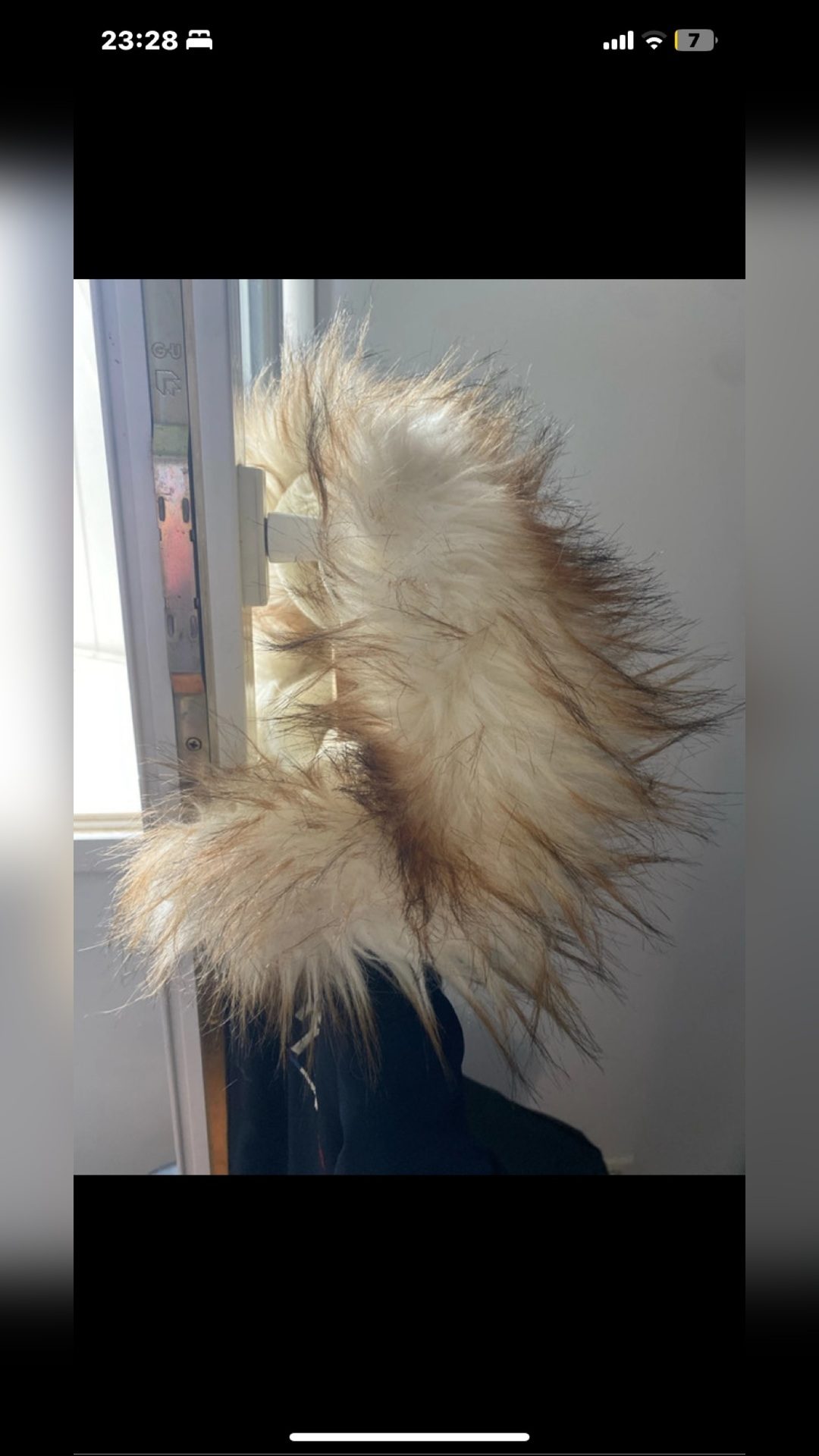 Veste Penelope, média 5