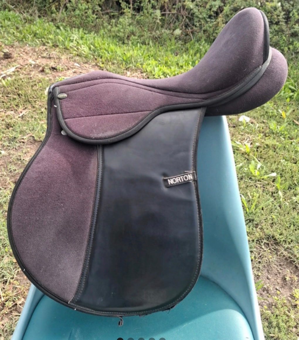 Selle Norton, média 2