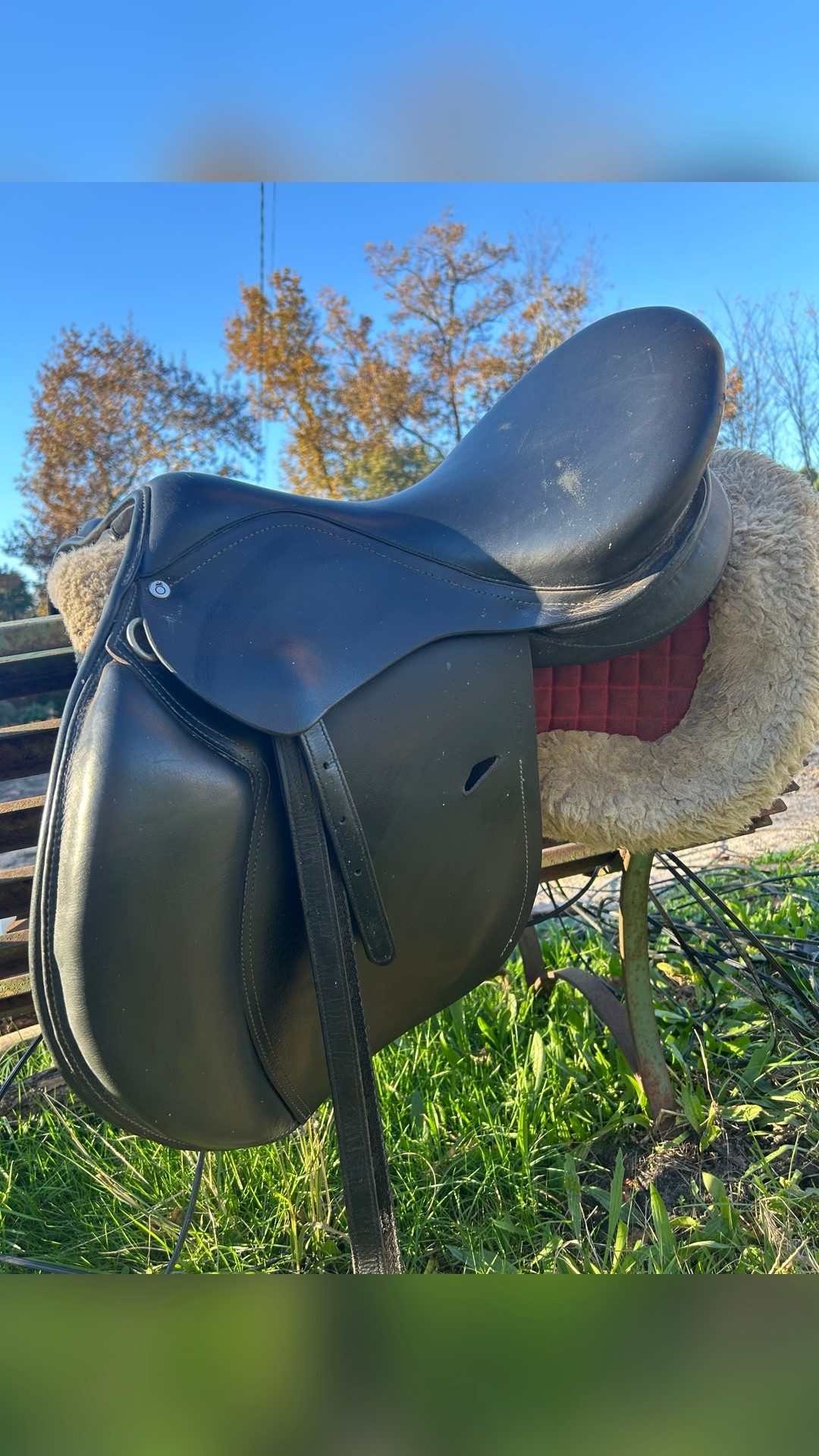 Selle mixte, média 2