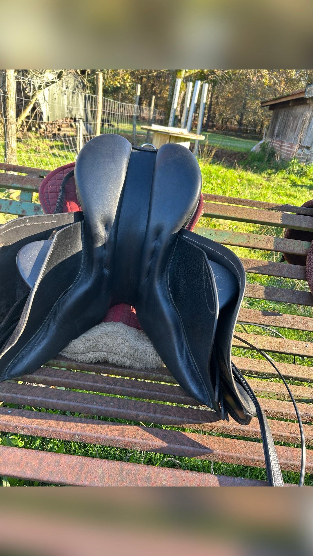 Selle mixte, média 3
