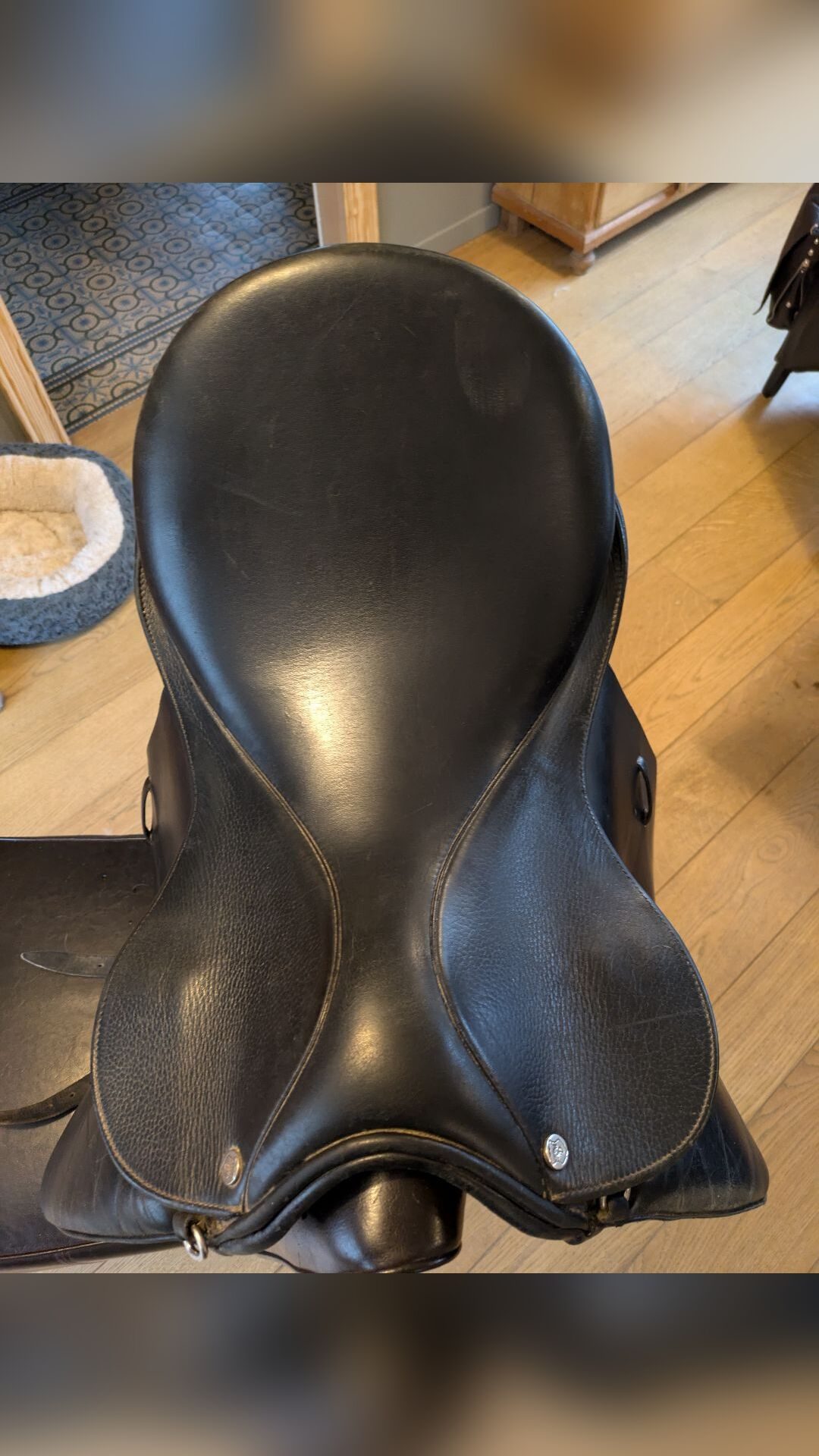 Selle dressage, média 3